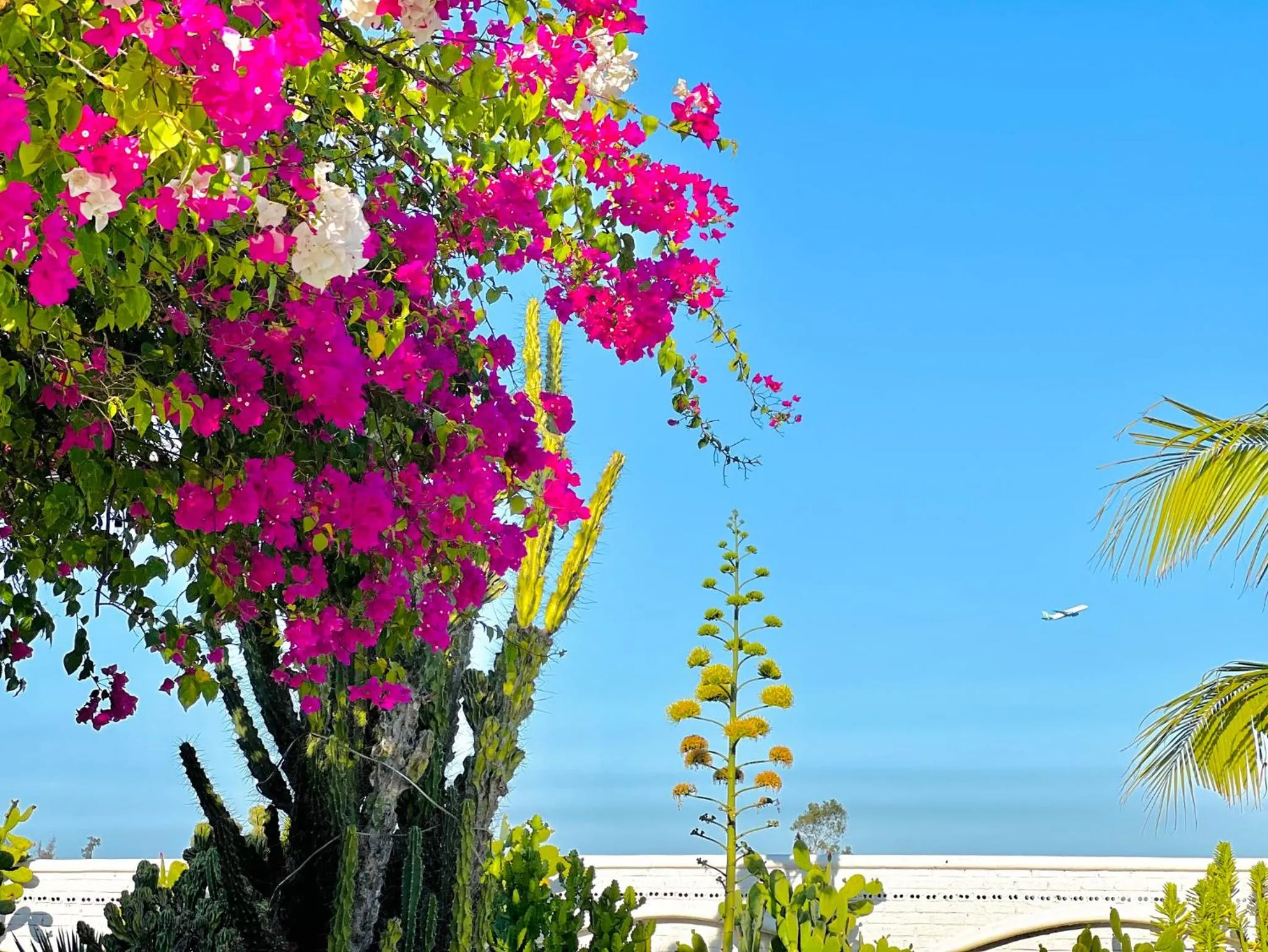 Natural landscape in Santorini Villa Cam Ranh