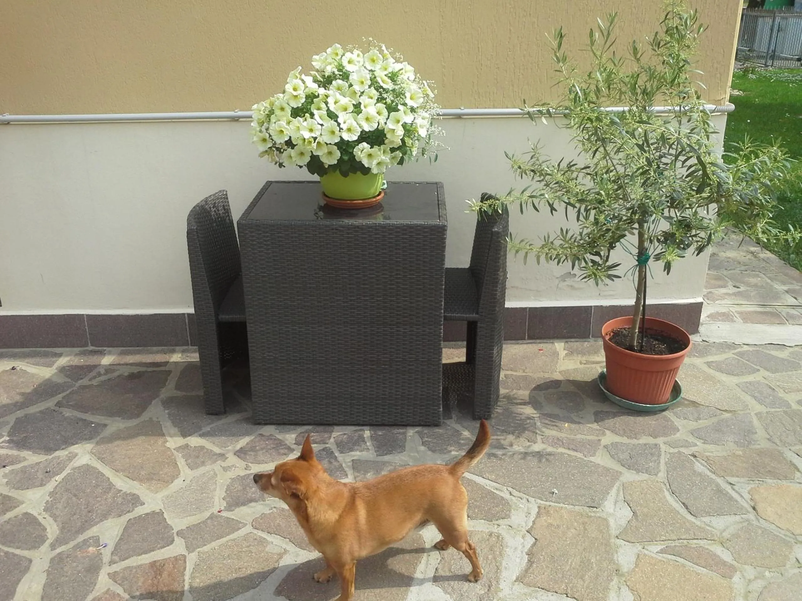 B&B Ciccilia