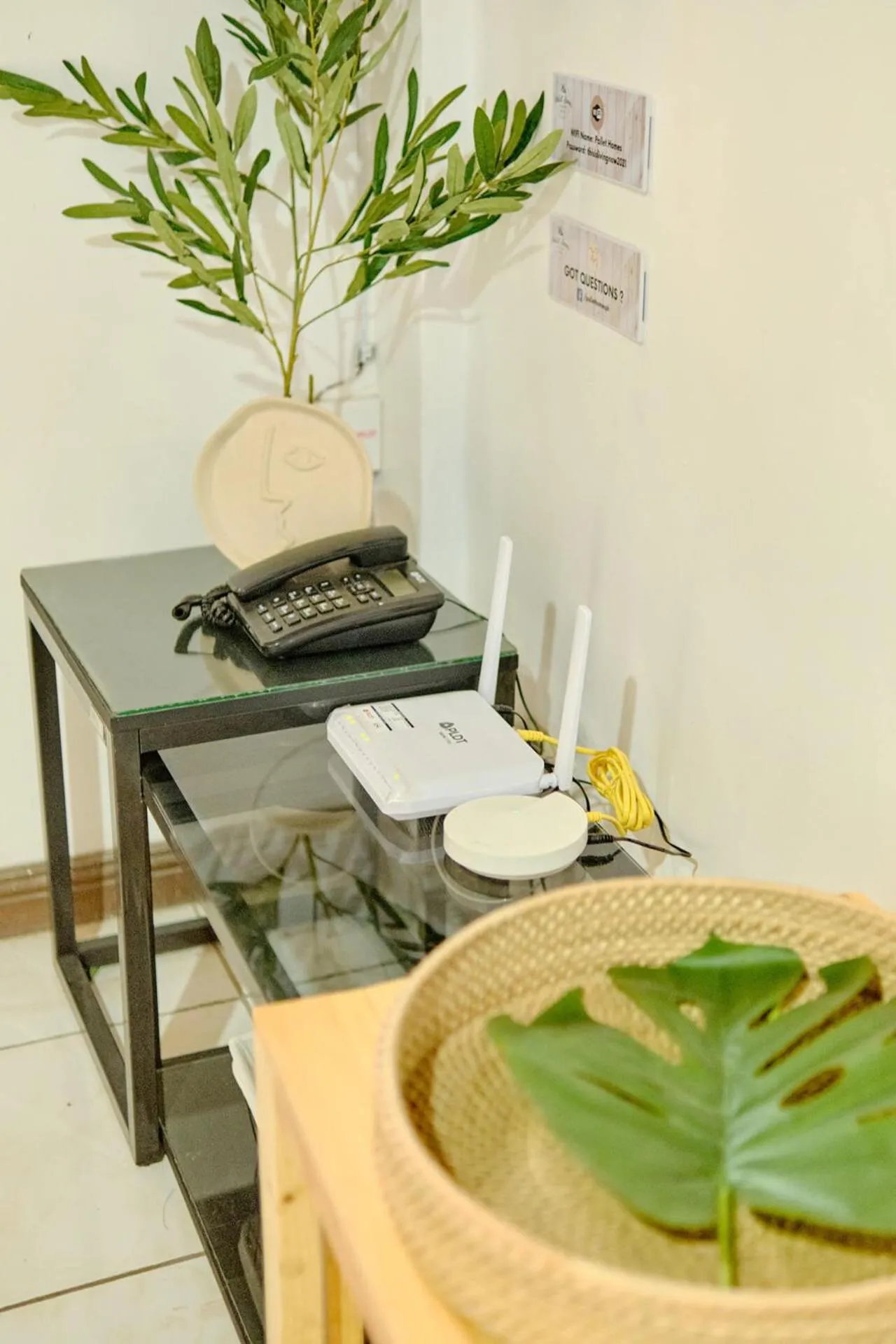 Property building in Pallet Homes - Ledesco