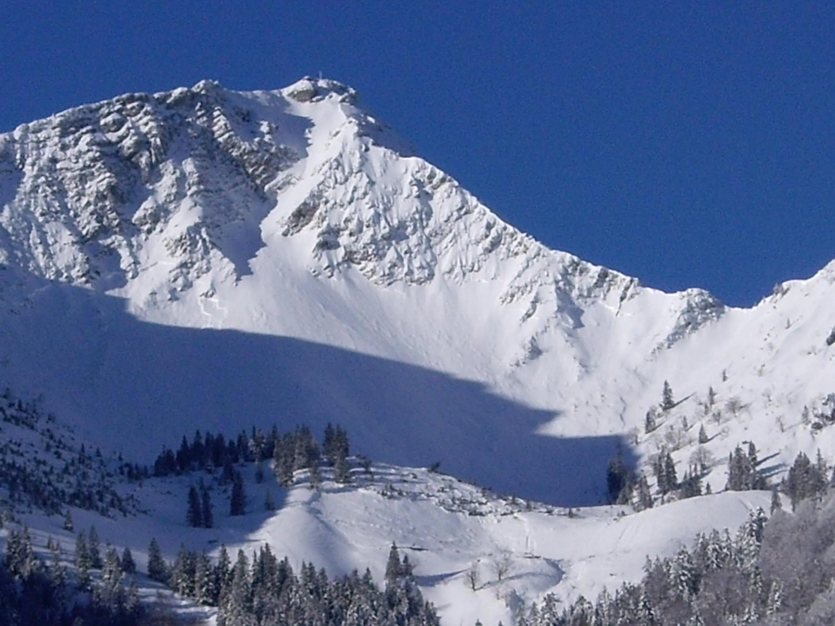 Mountain view in Gasthaus Aiplspitz