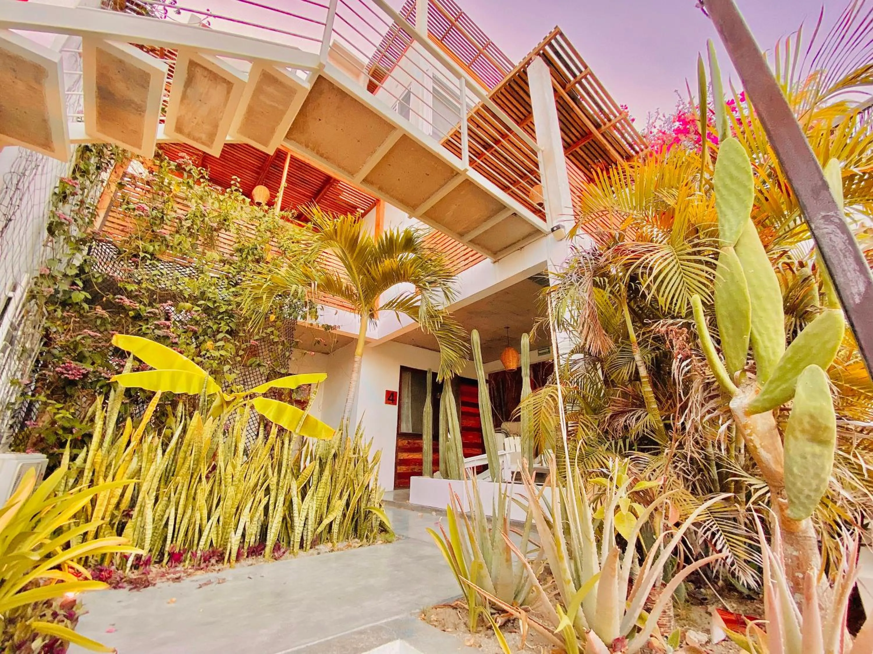 Property building in Perro Surfero Hotel Boutique - Todos Santos, BCS