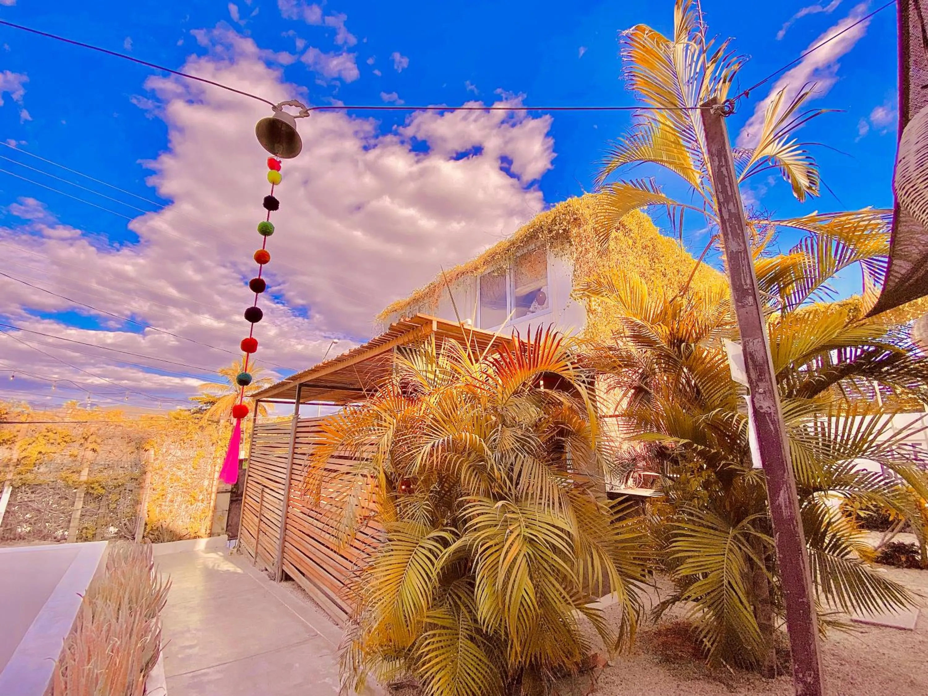 Day in Perro Surfero Hotel Boutique - Todos Santos, BCS