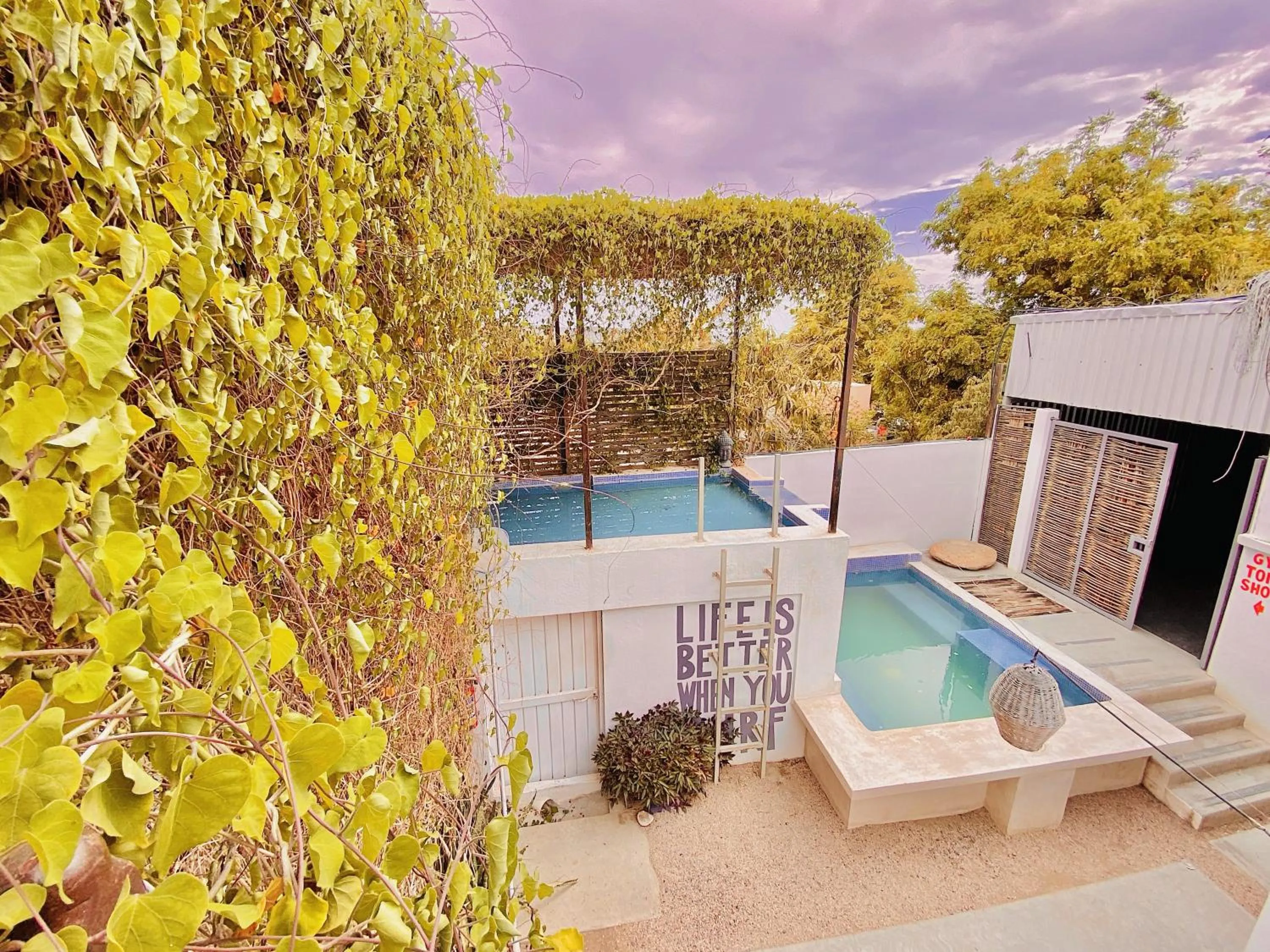 Property building in Perro Surfero Hotel Boutique - Todos Santos, BCS