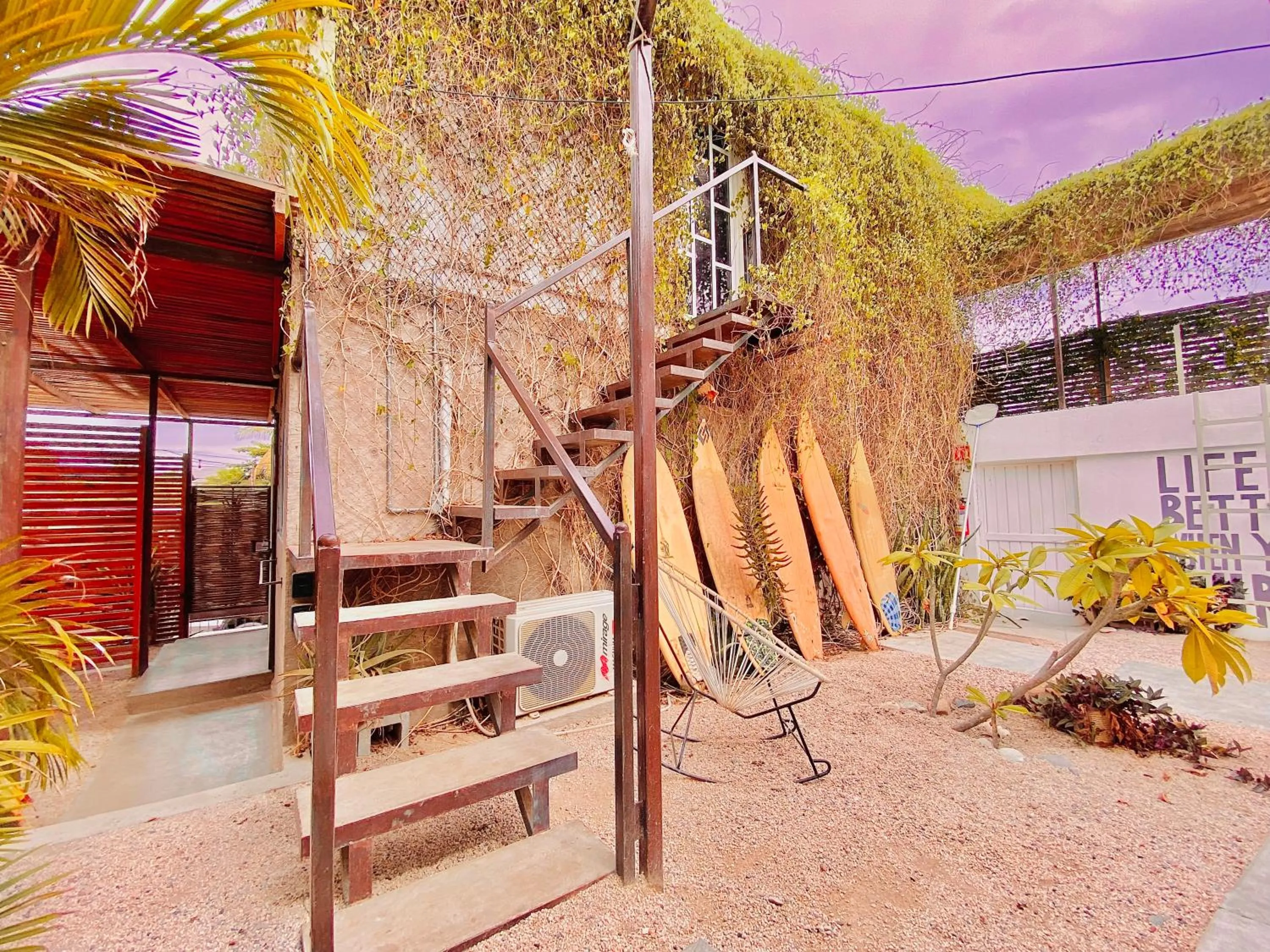 Patio in Perro Surfero Hotel Boutique - Todos Santos, BCS