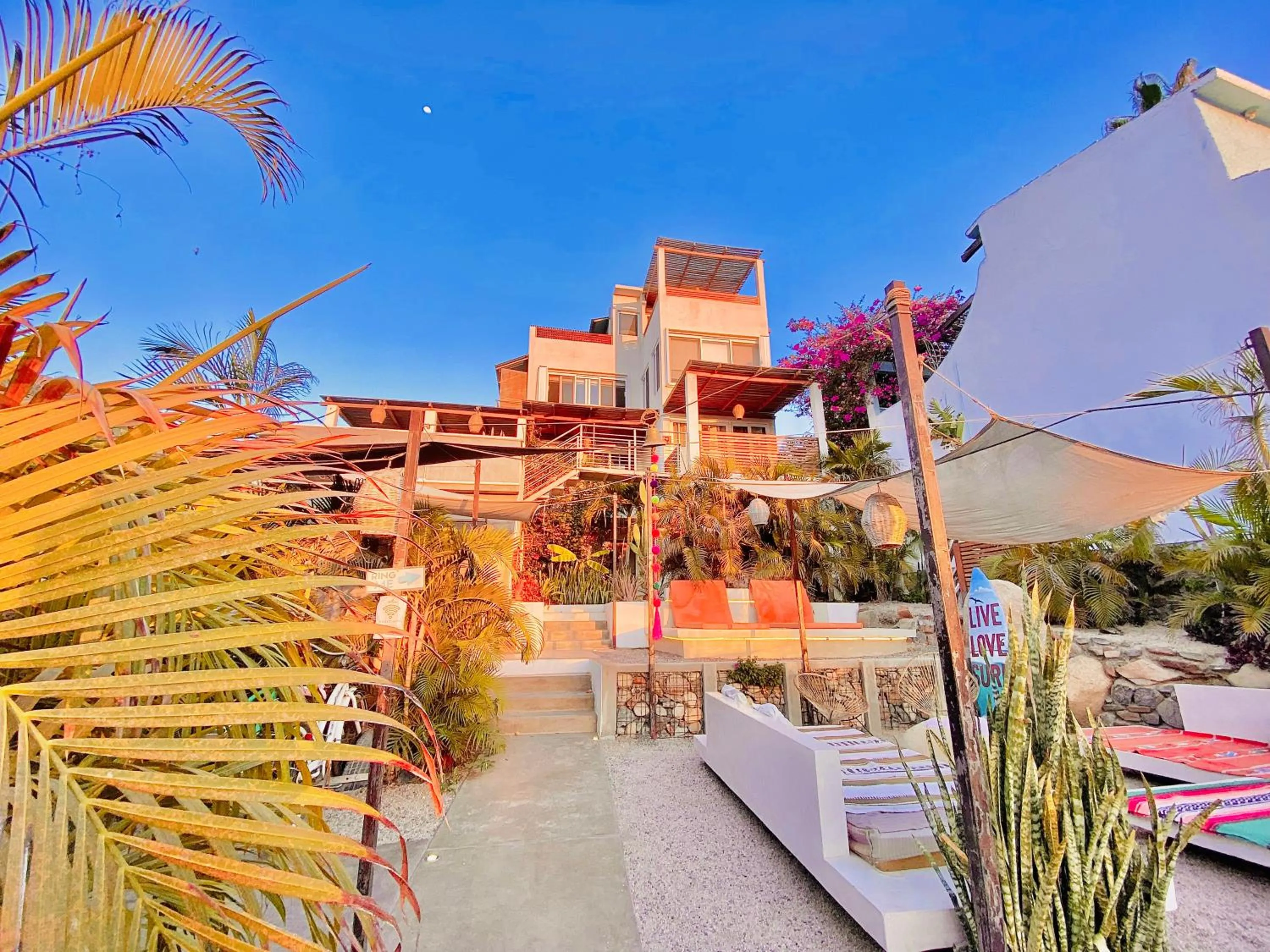Property building in Perro Surfero Hotel Boutique - Todos Santos, BCS