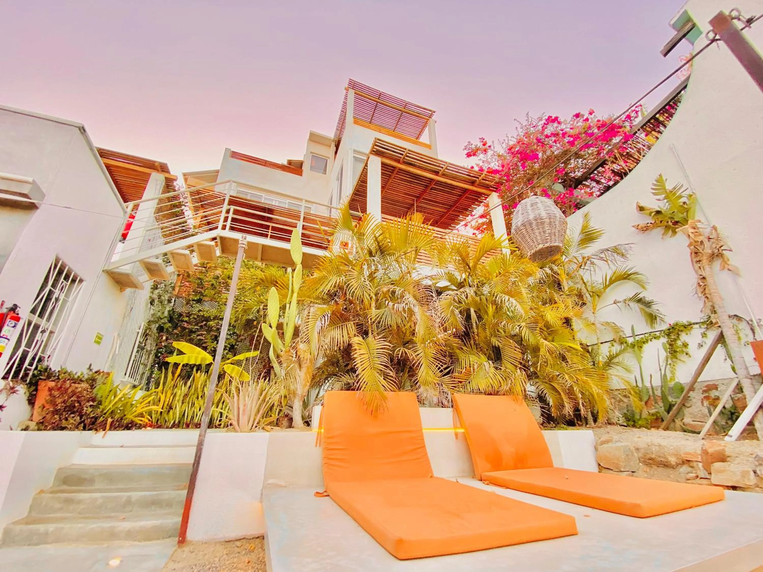 Property building in Perro Surfero Hotel Boutique - Todos Santos, BCS