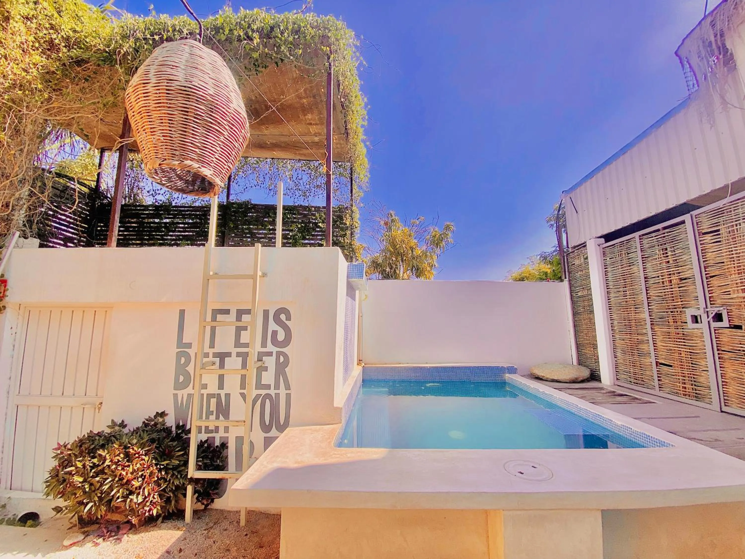 Day in Perro Surfero Hotel Boutique - Todos Santos, BCS