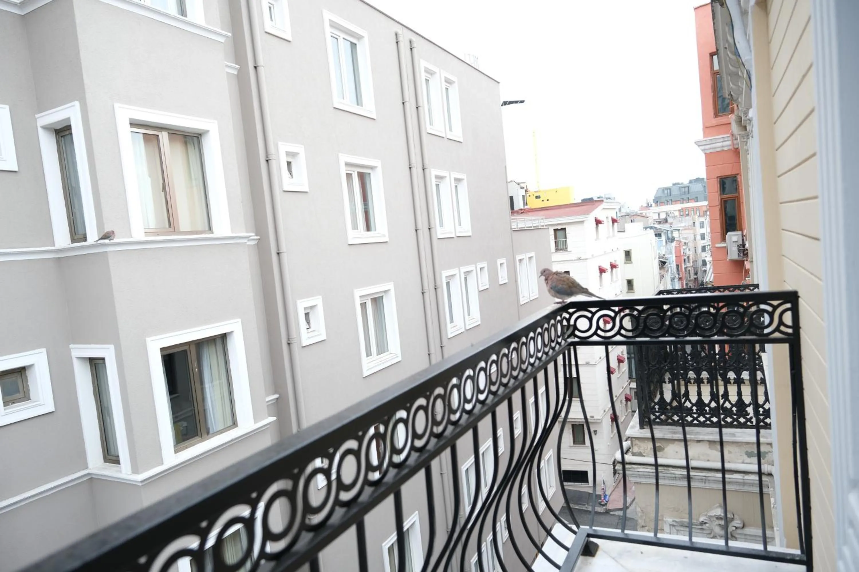 View (from property/room) in Yellow Mansion