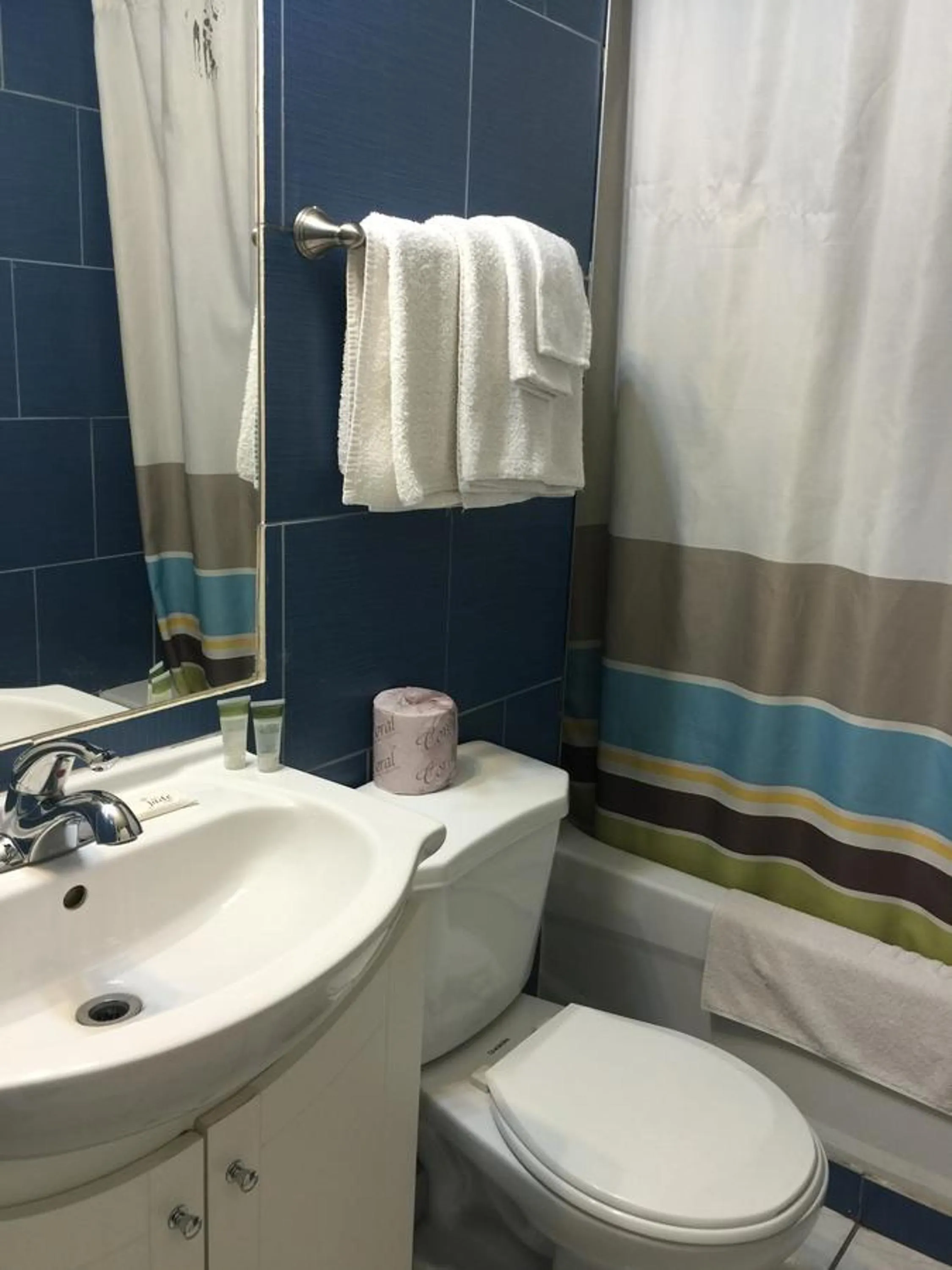 Bathroom in Mayflower Motel