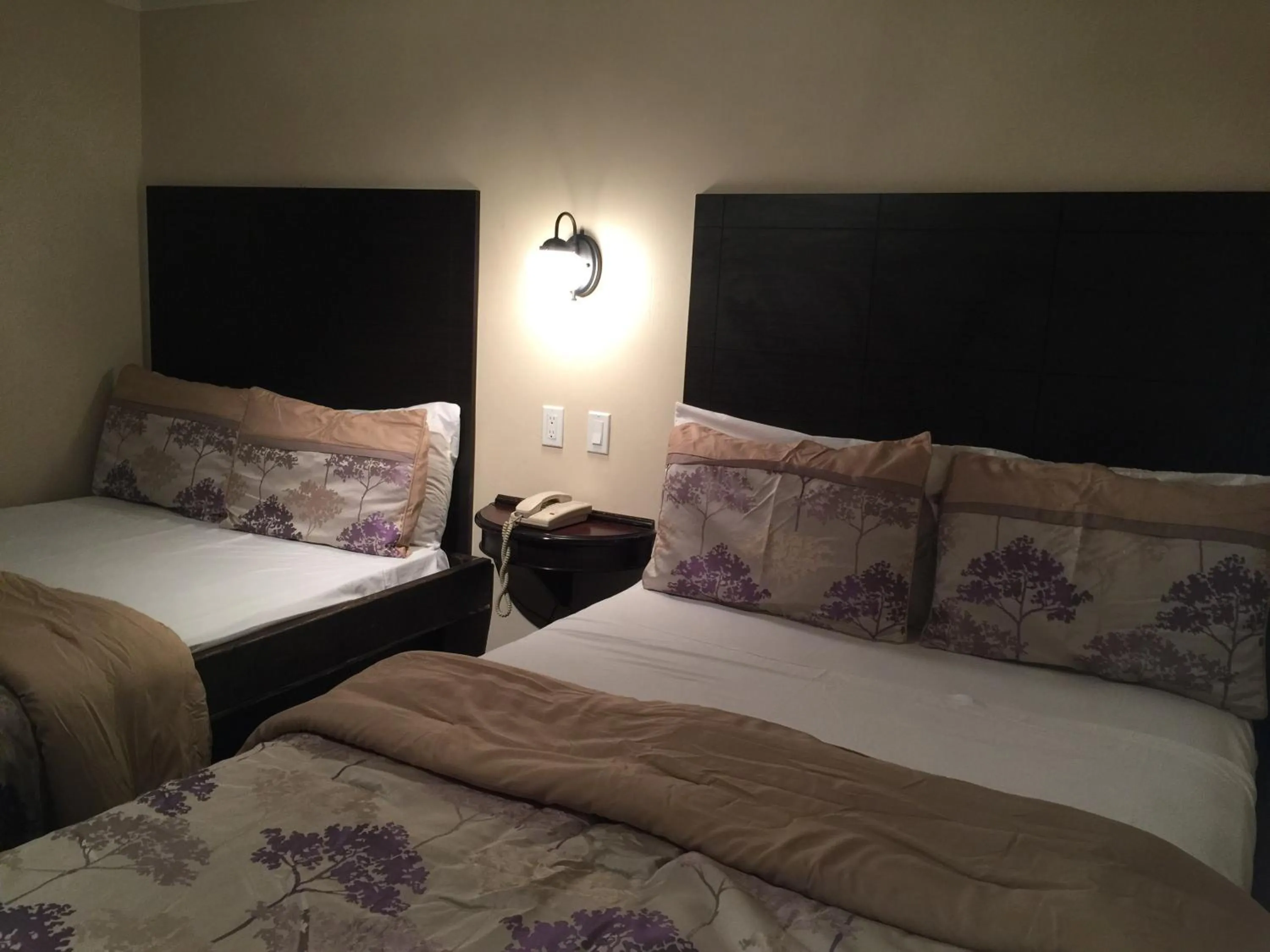 Property building, Bed in Mayflower Motel