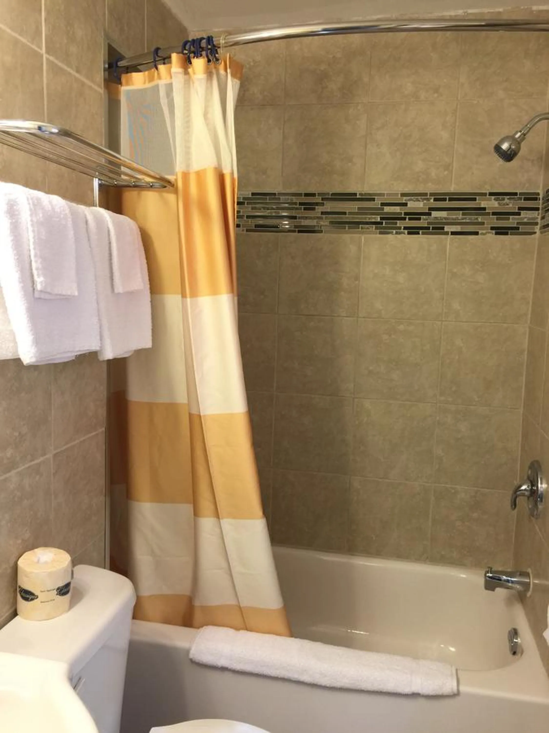 Shower in Mayflower Motel