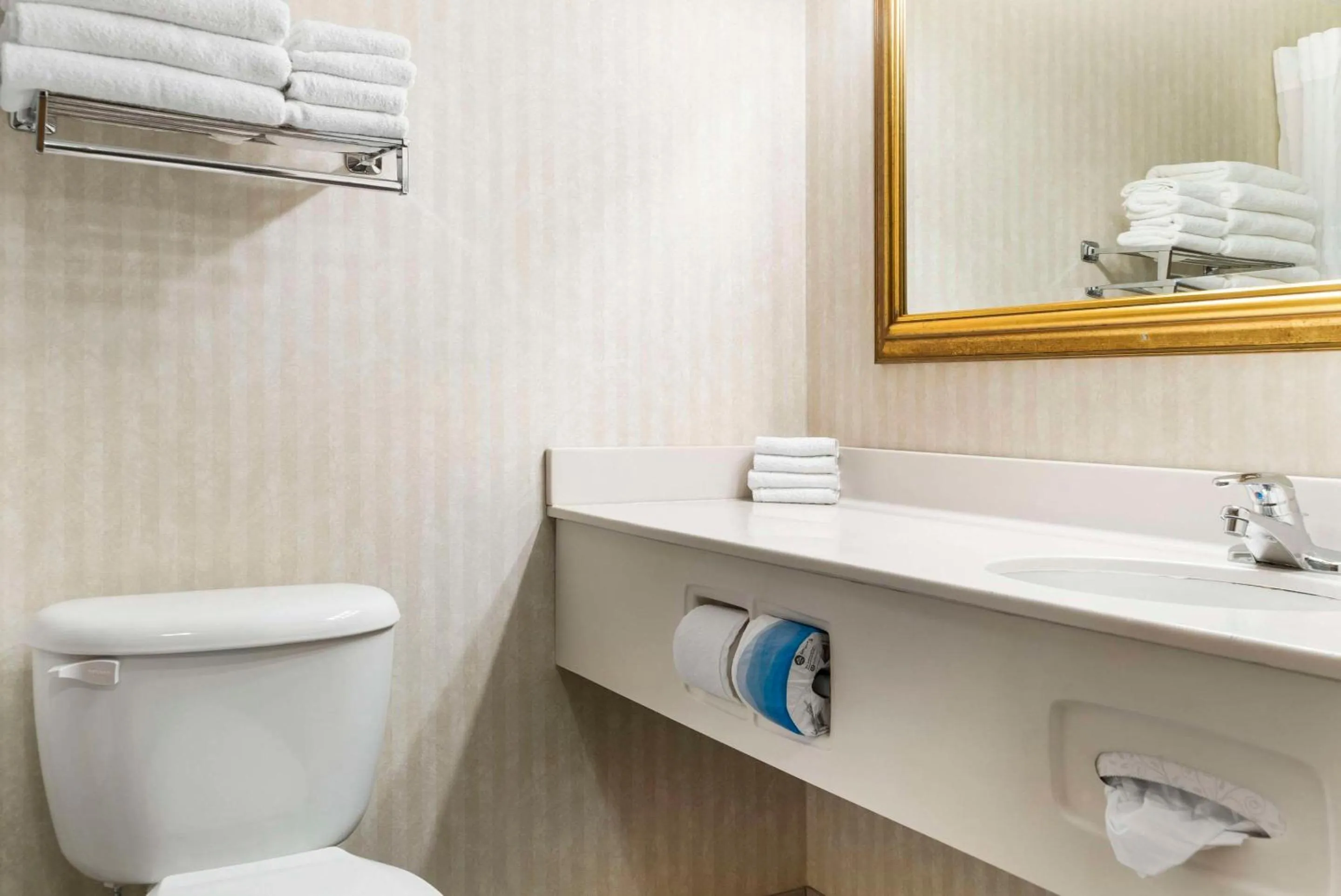 Bedroom in Quality Inn & Suites