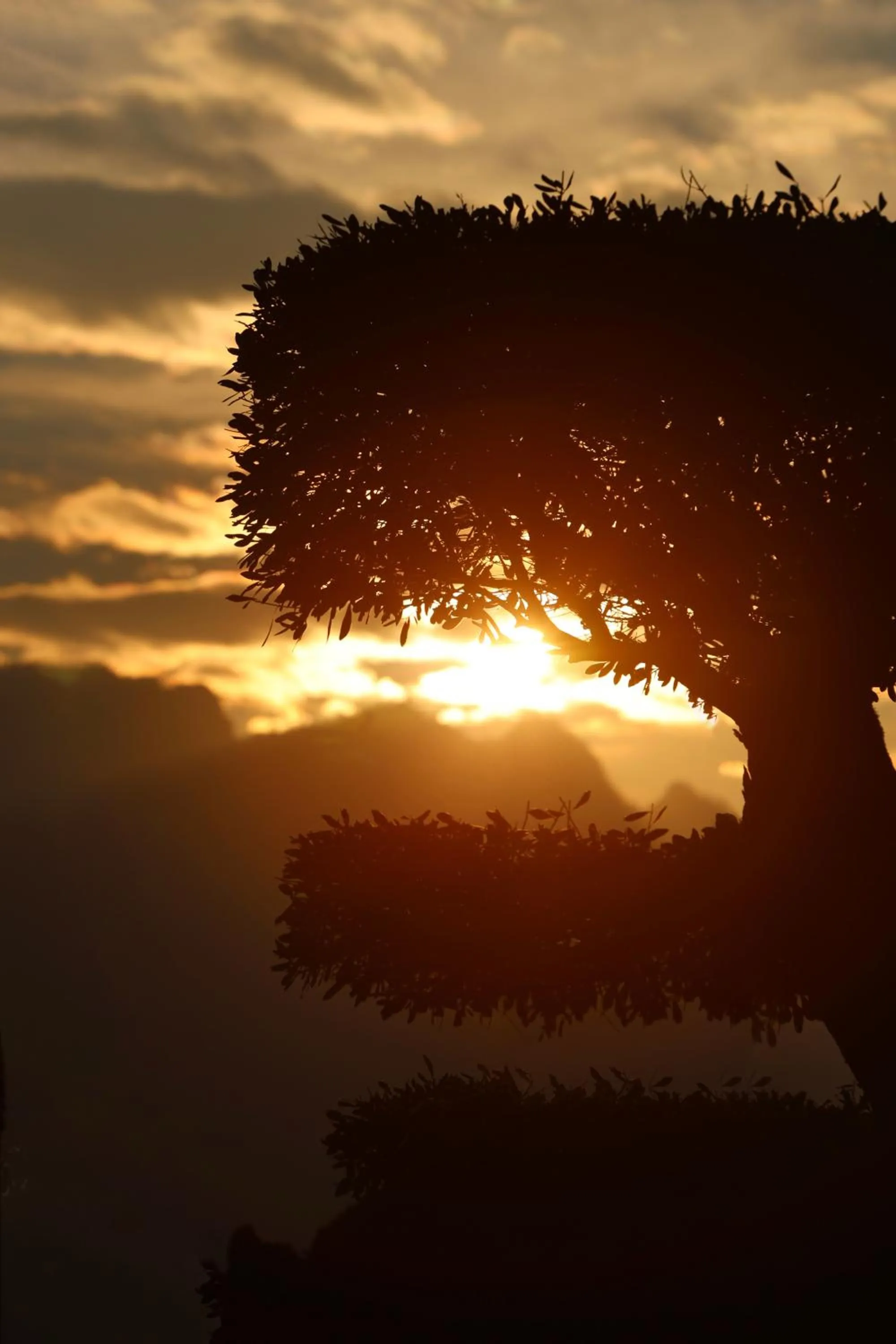 Natural landscape in Collina Luxury Relais