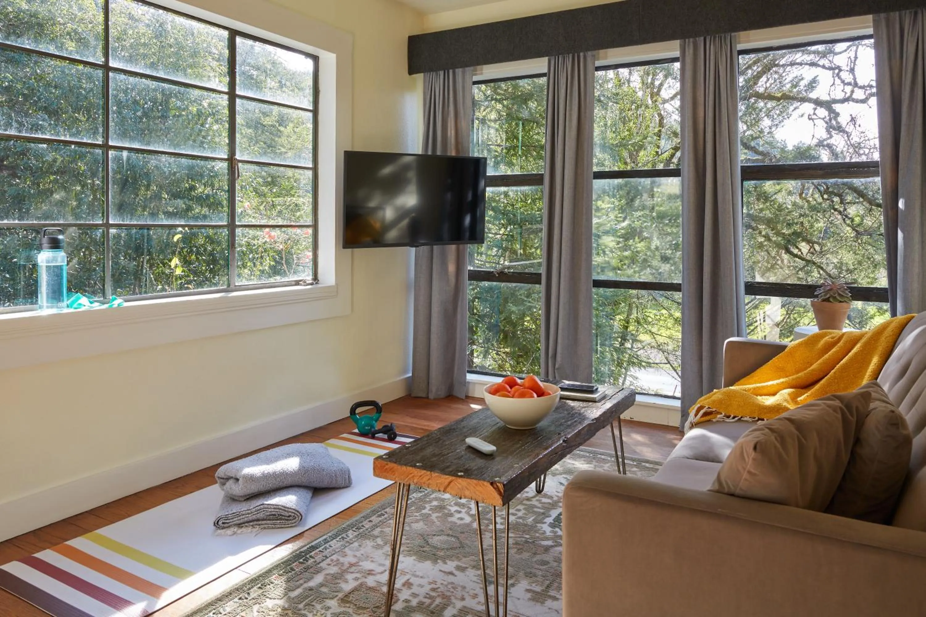 TV and multimedia in Mine and Farm, The Inn at Guerneville, CA