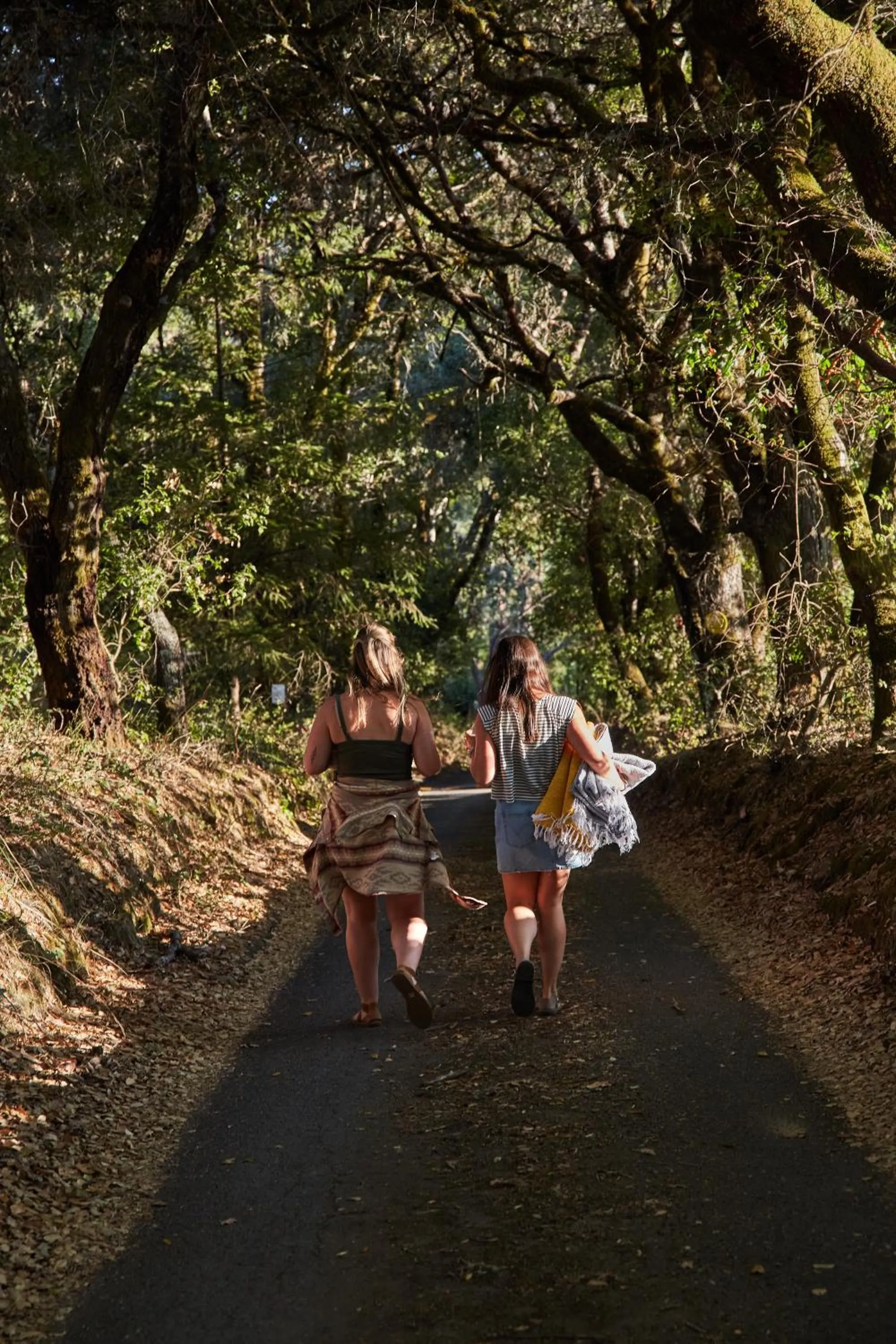 Natural landscape in Mine and Farm, The Inn at Guerneville, CA