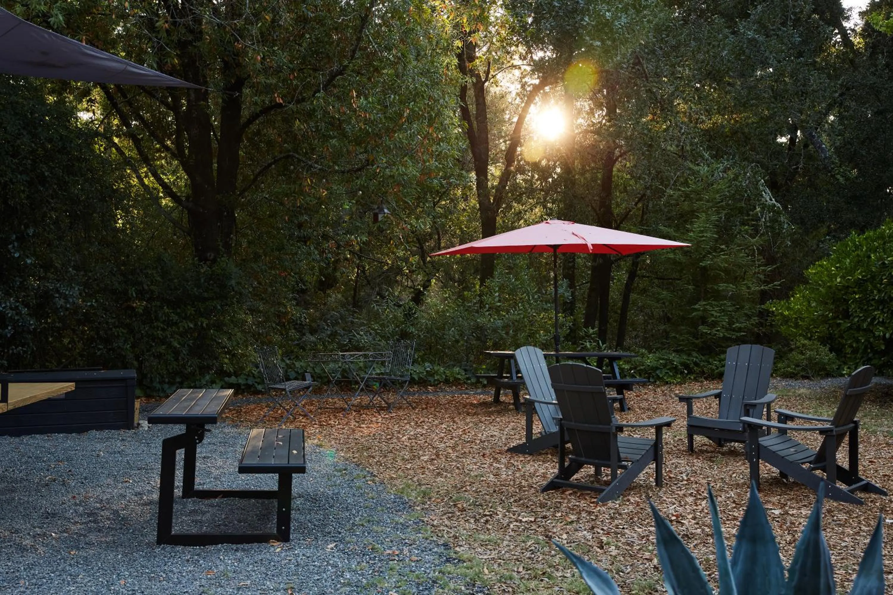 Day in Mine and Farm, The Inn at Guerneville, CA