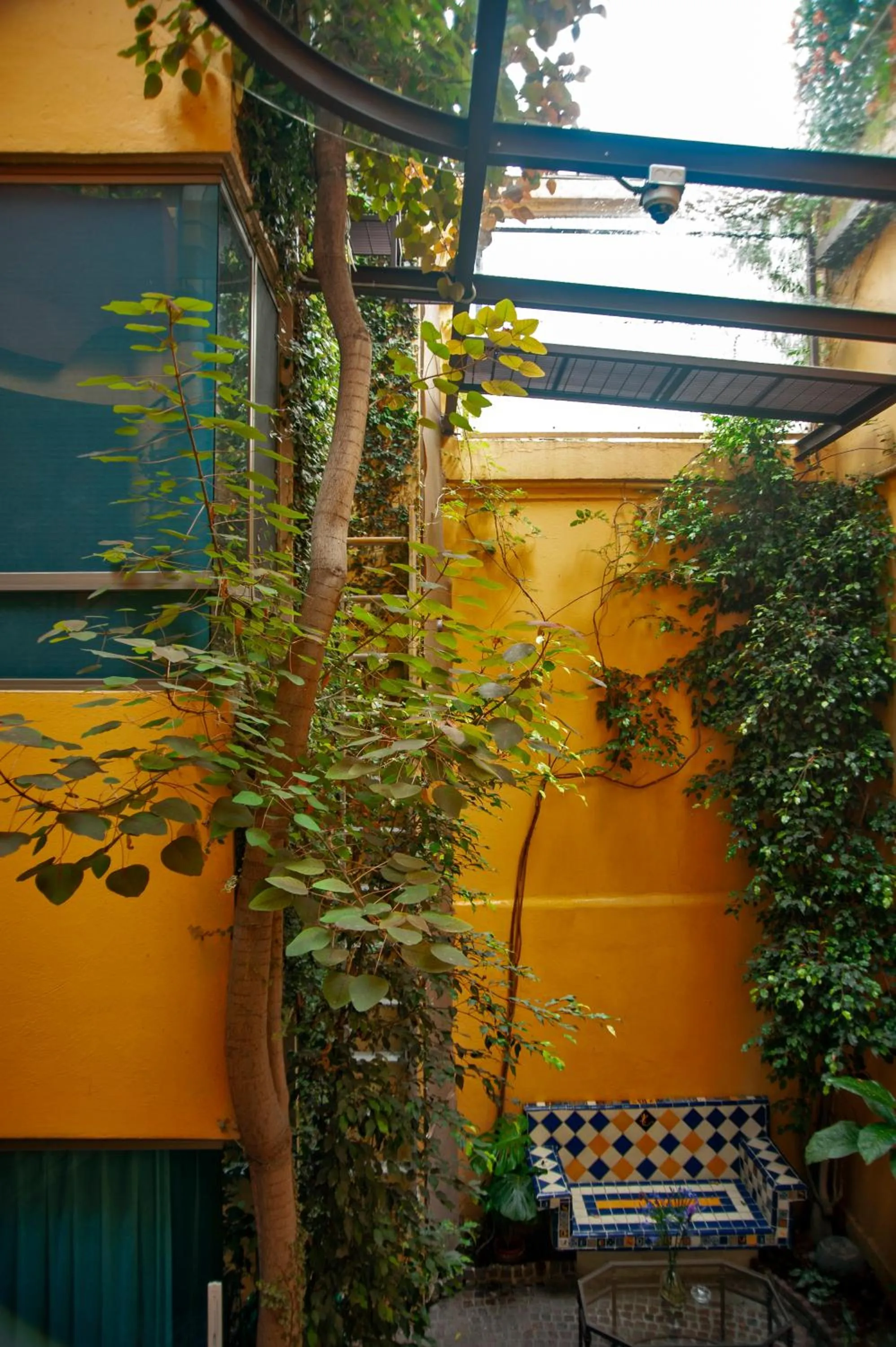 Garden in Chalet del Carmen, Coyoacán