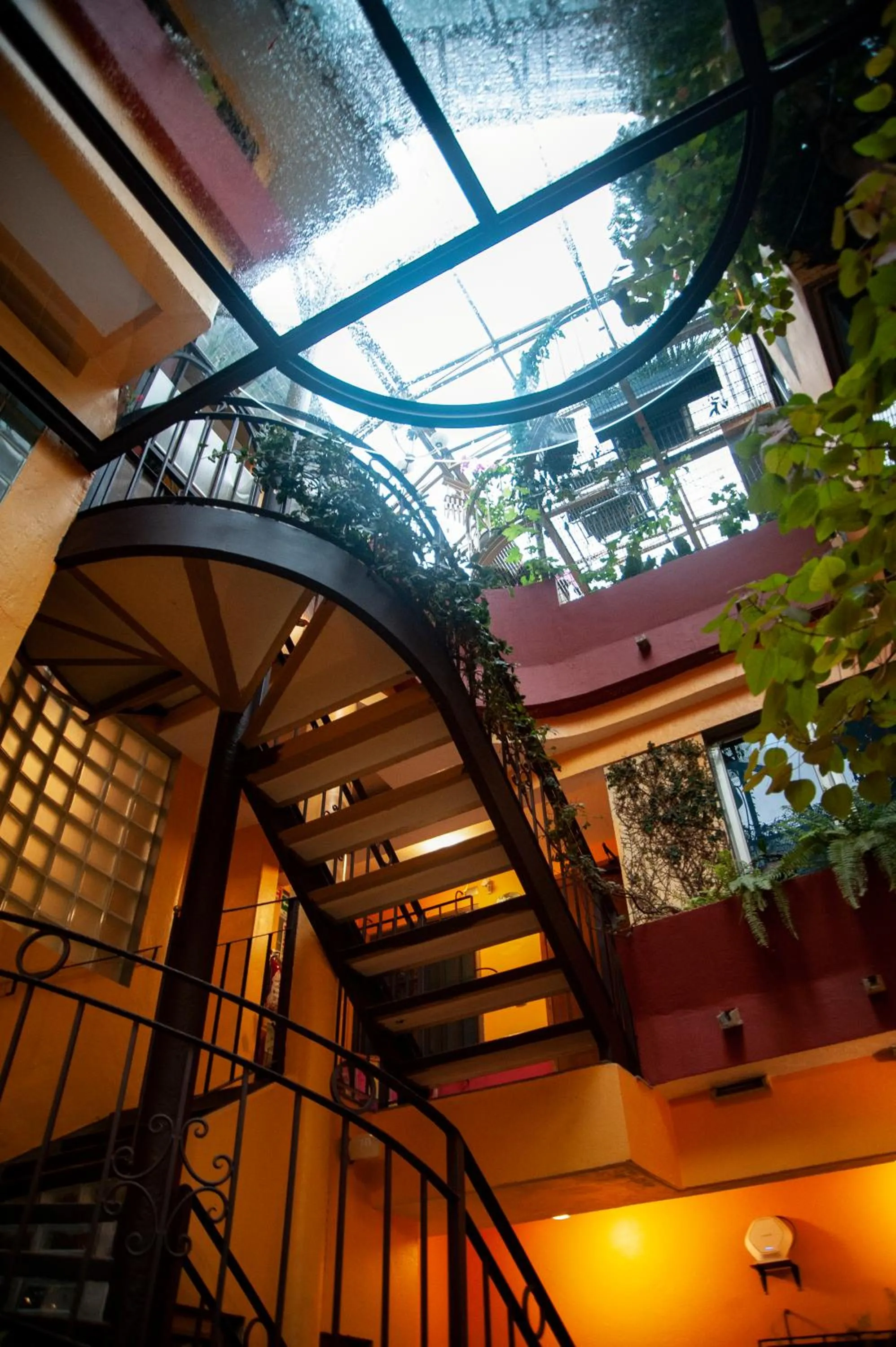 Area and facilities in Chalet del Carmen, Coyoacán