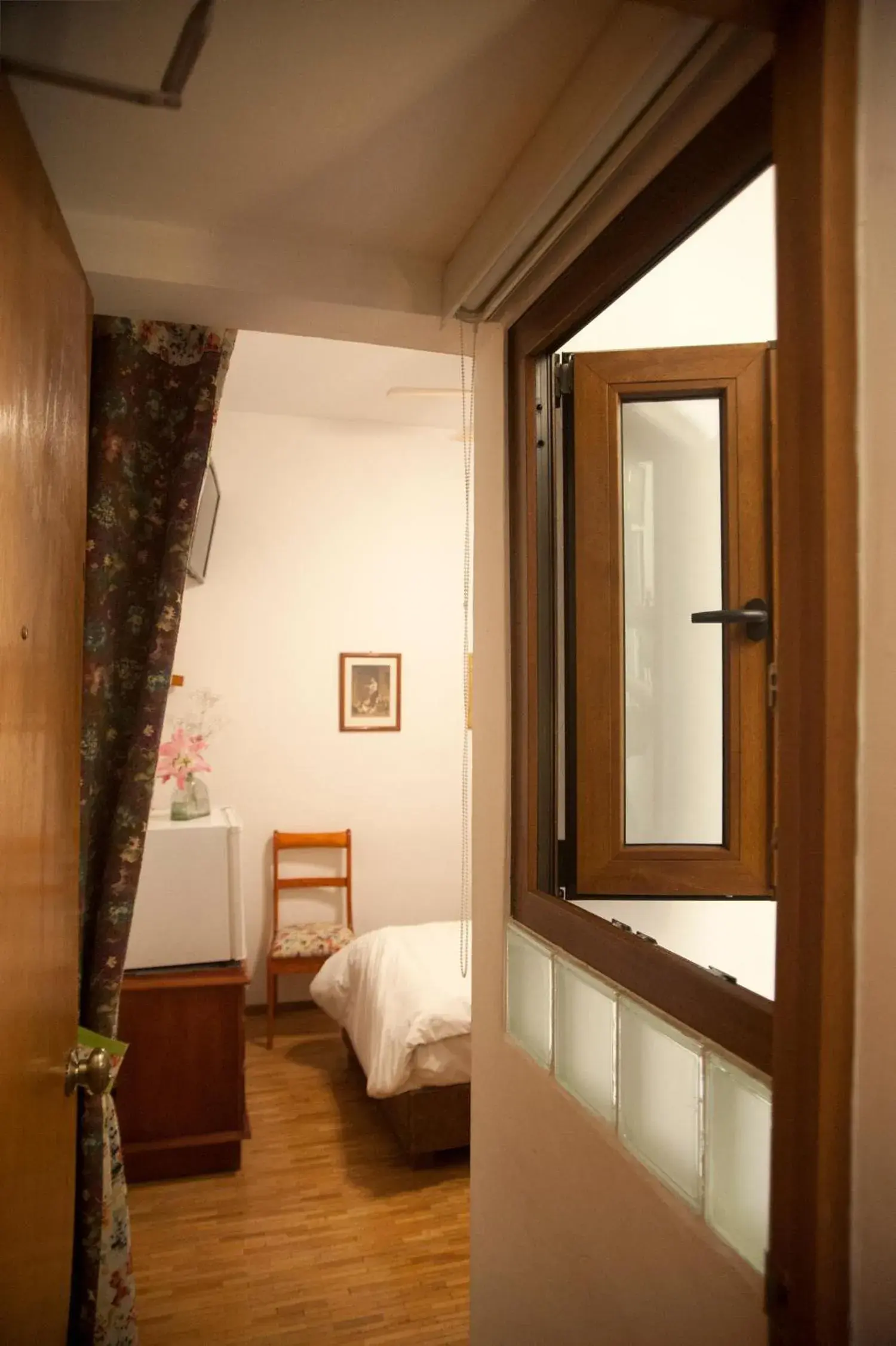 Small Single Room - single occupancy in Chalet del Carmen, Coyoacán Small Single Room - single occupancy in Chalet del Carmen, Coyoacán