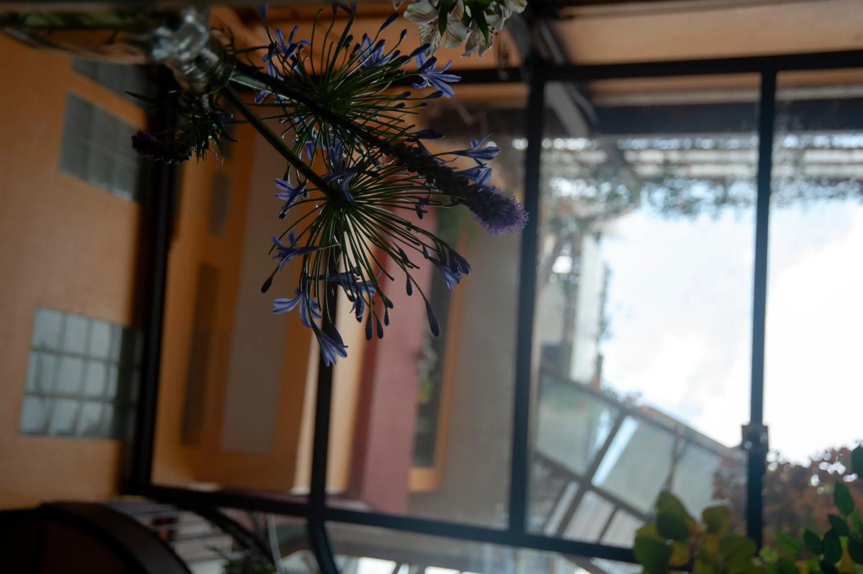 Property building in Chalet del Carmen, Coyoacán