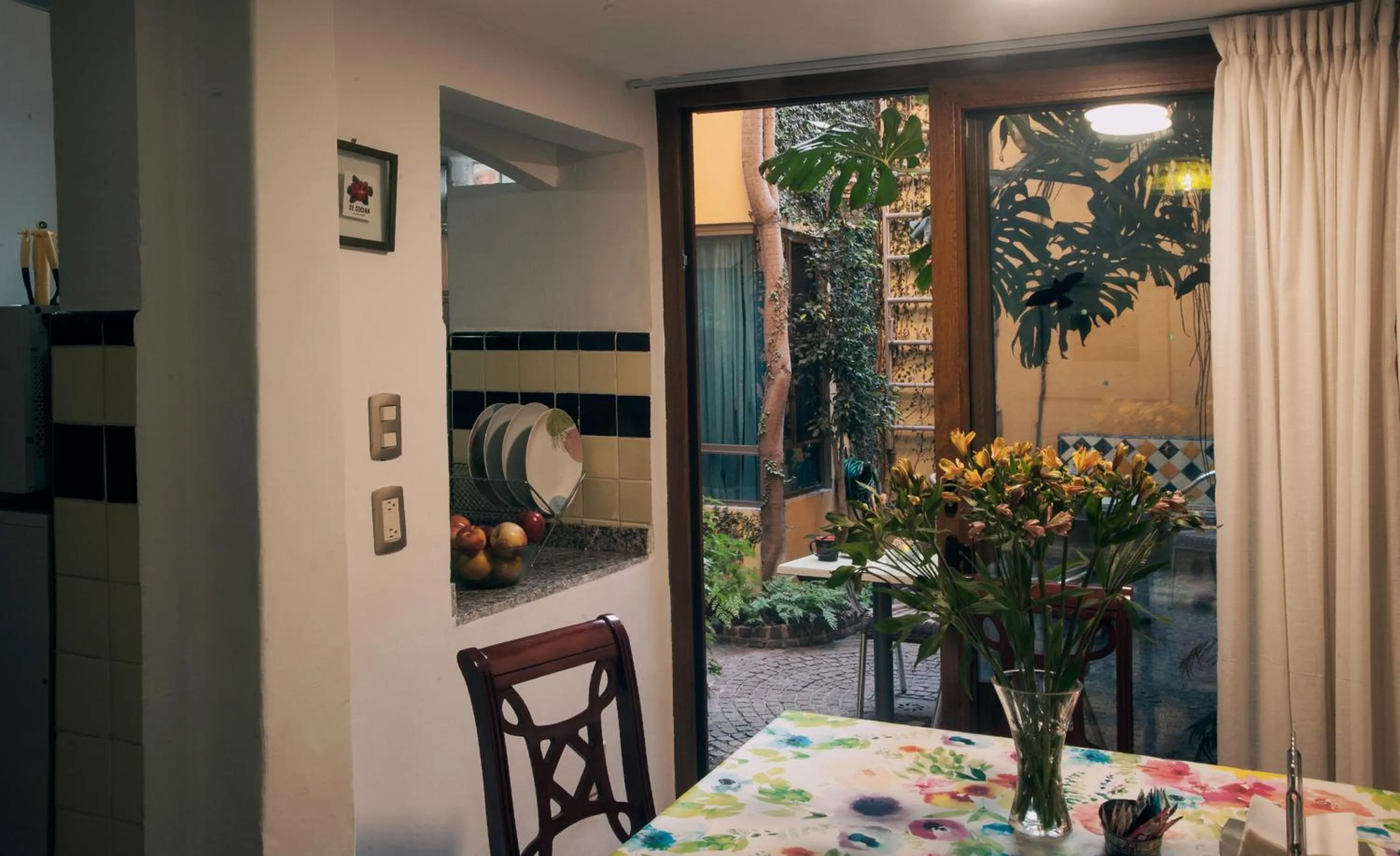 Garden view in Chalet del Carmen, Coyoacán