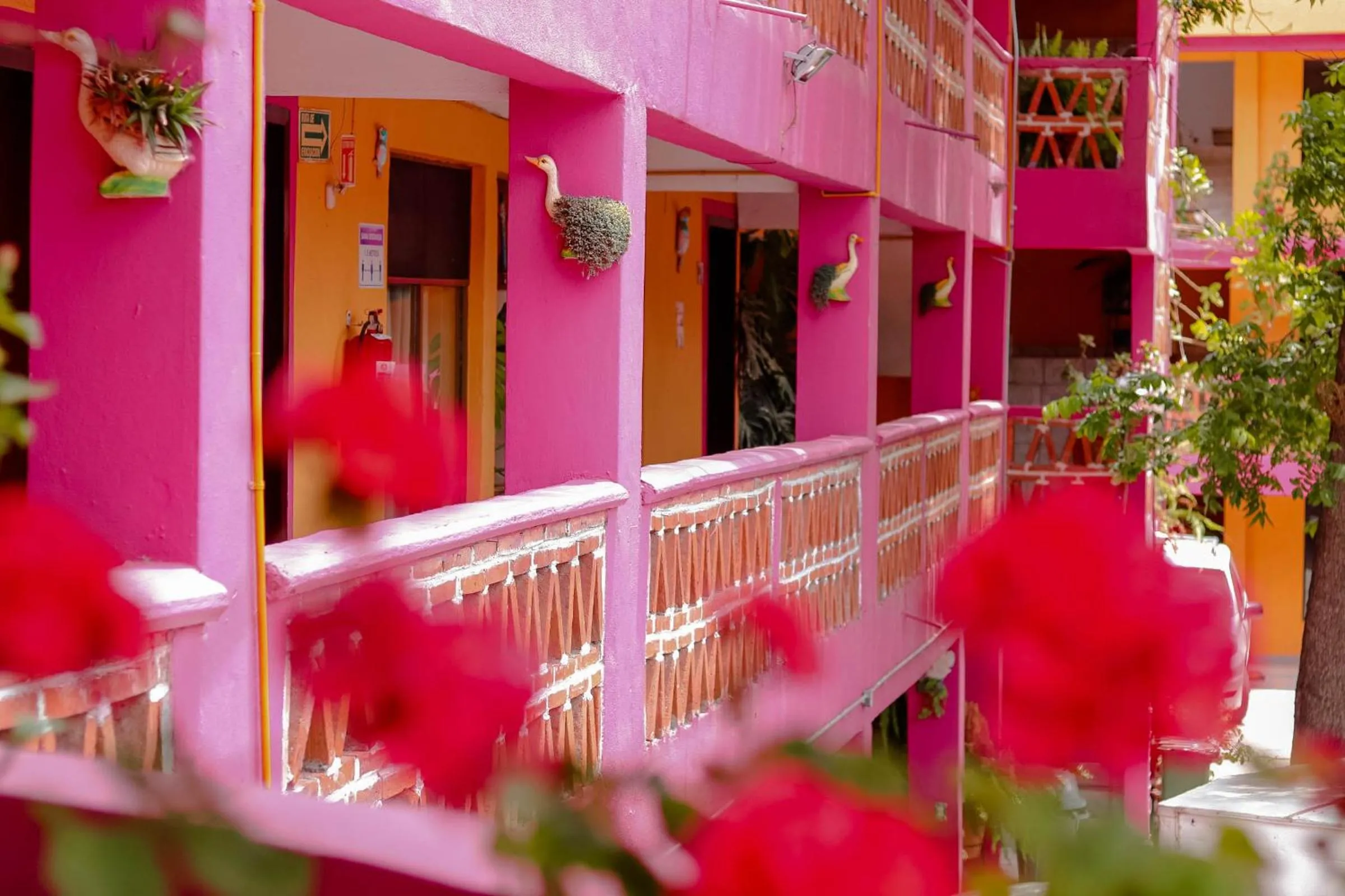 Day in El Jazmin de Zanya