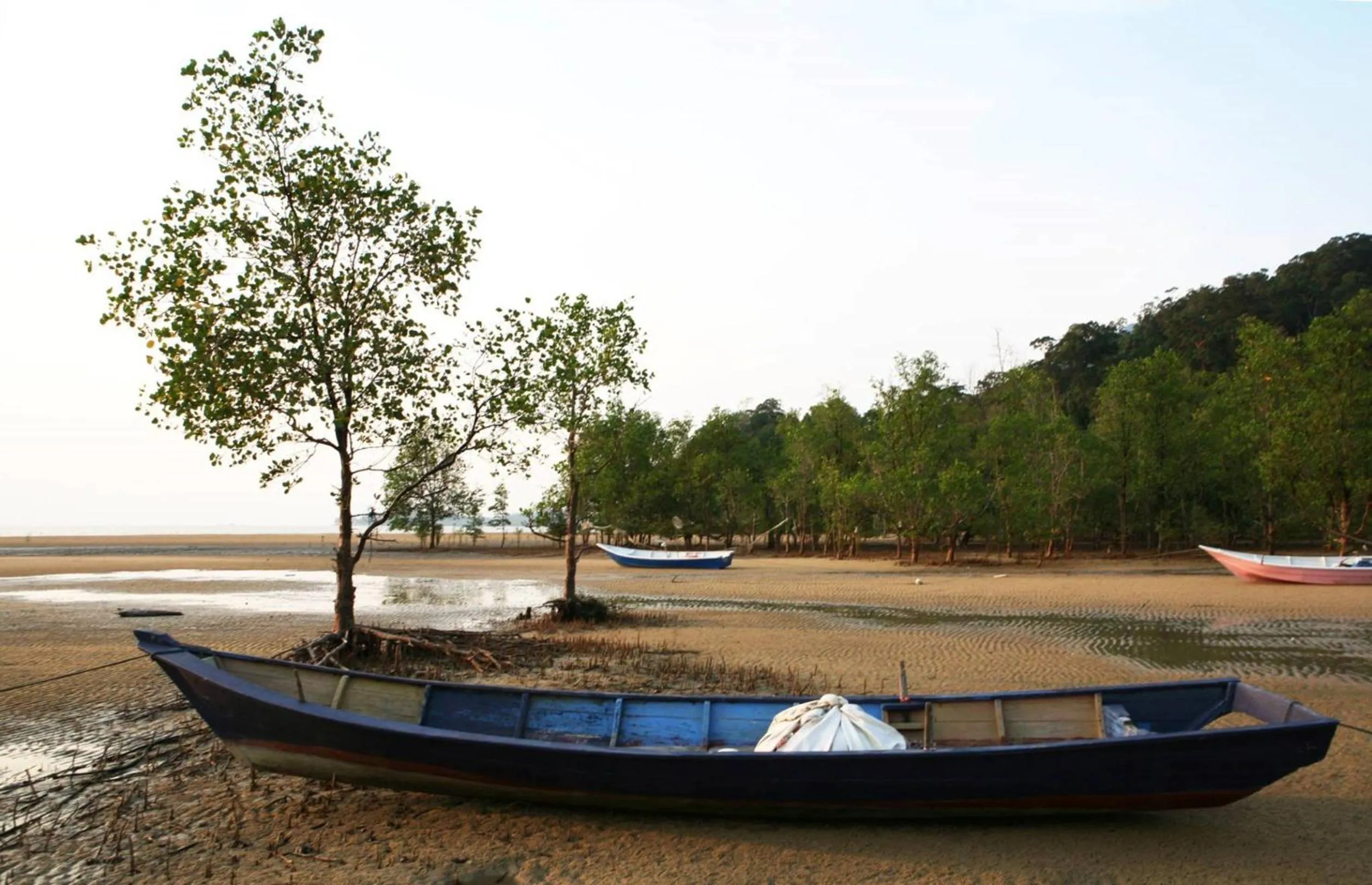 Natural landscape in The Village House