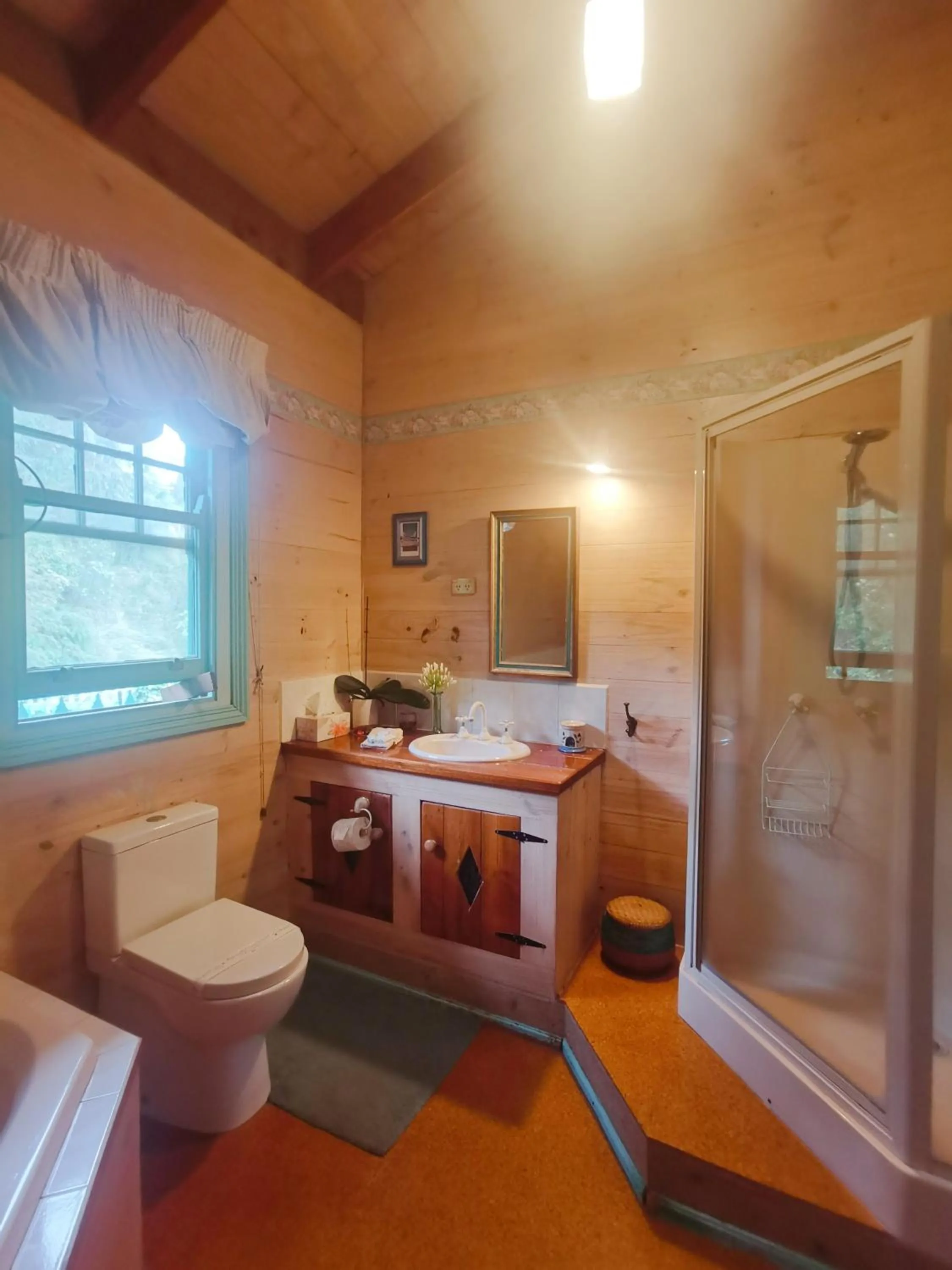 Shower in The Goat and Goose Bed & Breakfast