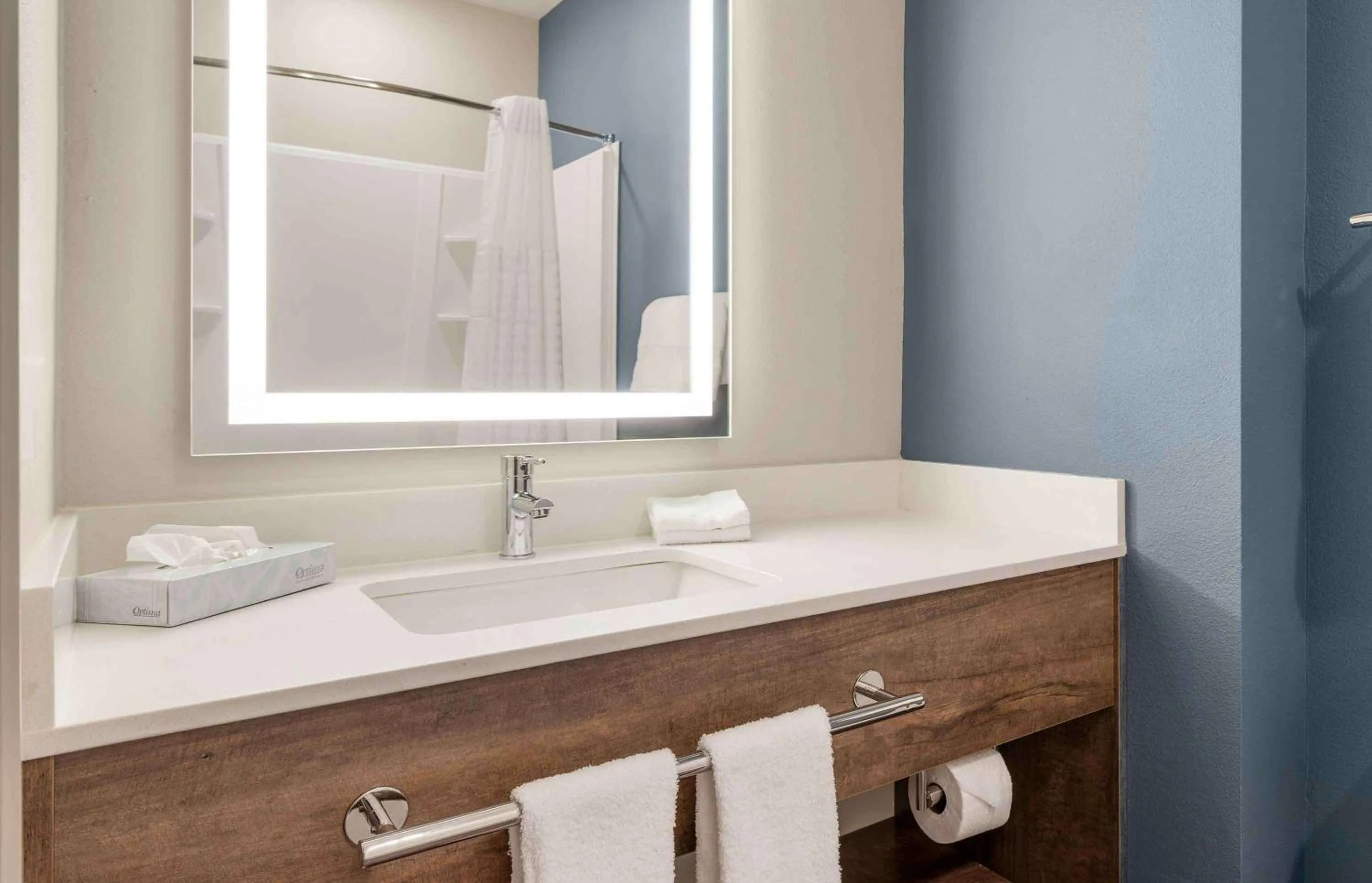 Bathroom in Extended Stay America Premier Suites - Greenville - Spartanburg - I-85