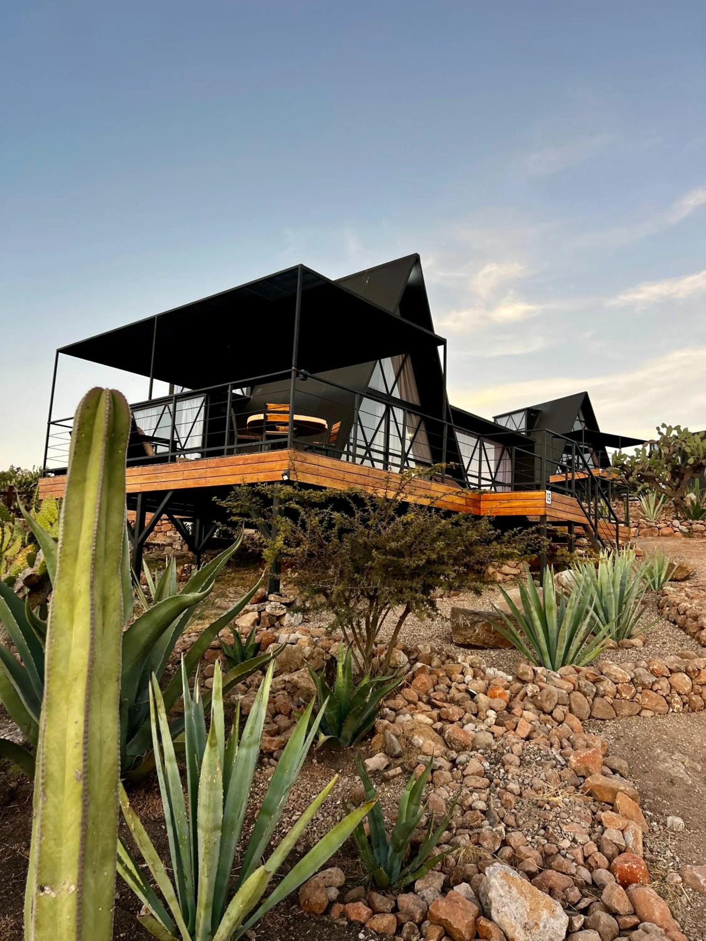 Hotel Coyote