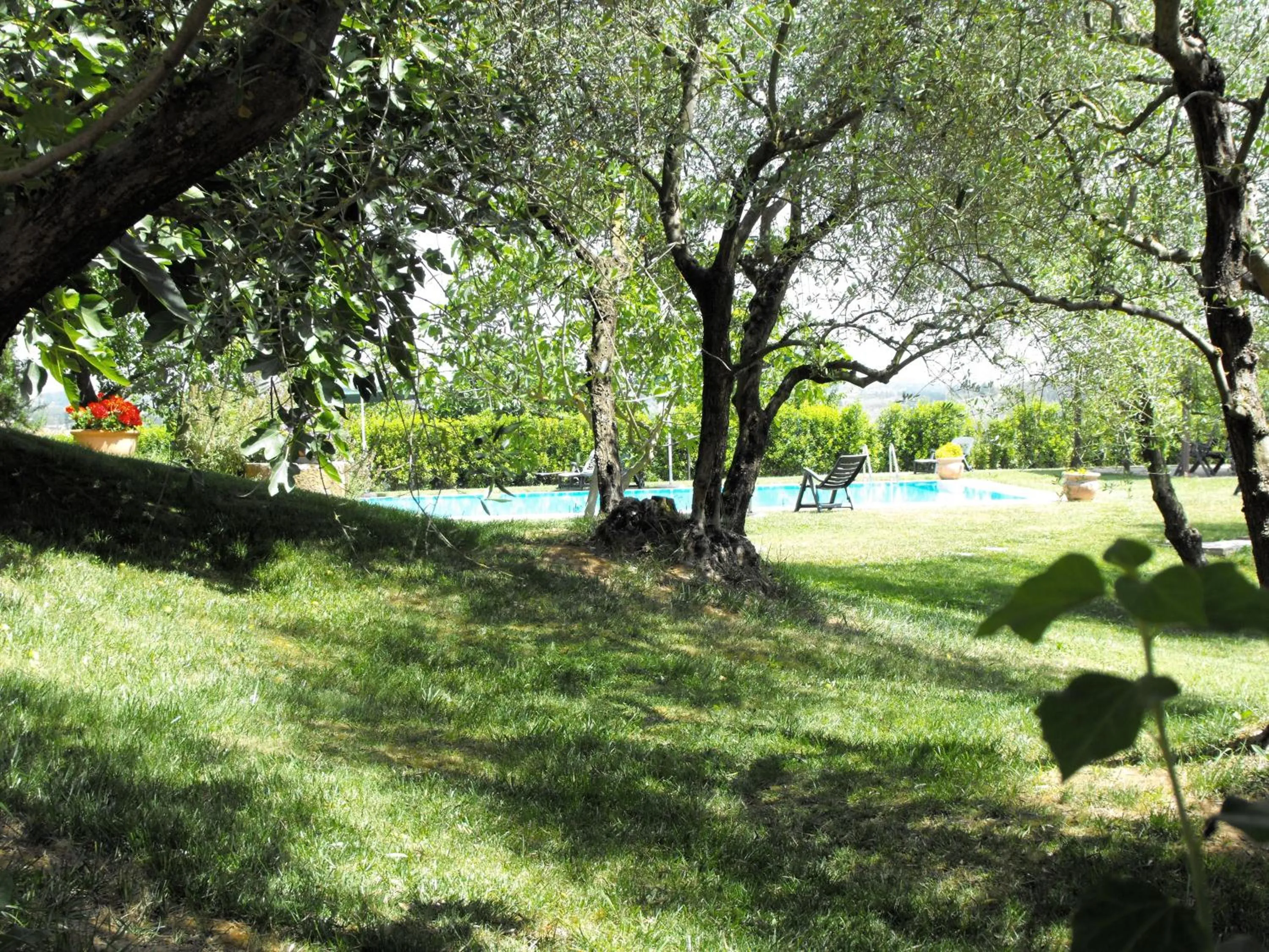 Garden in Agriturismo Il Poggiarello