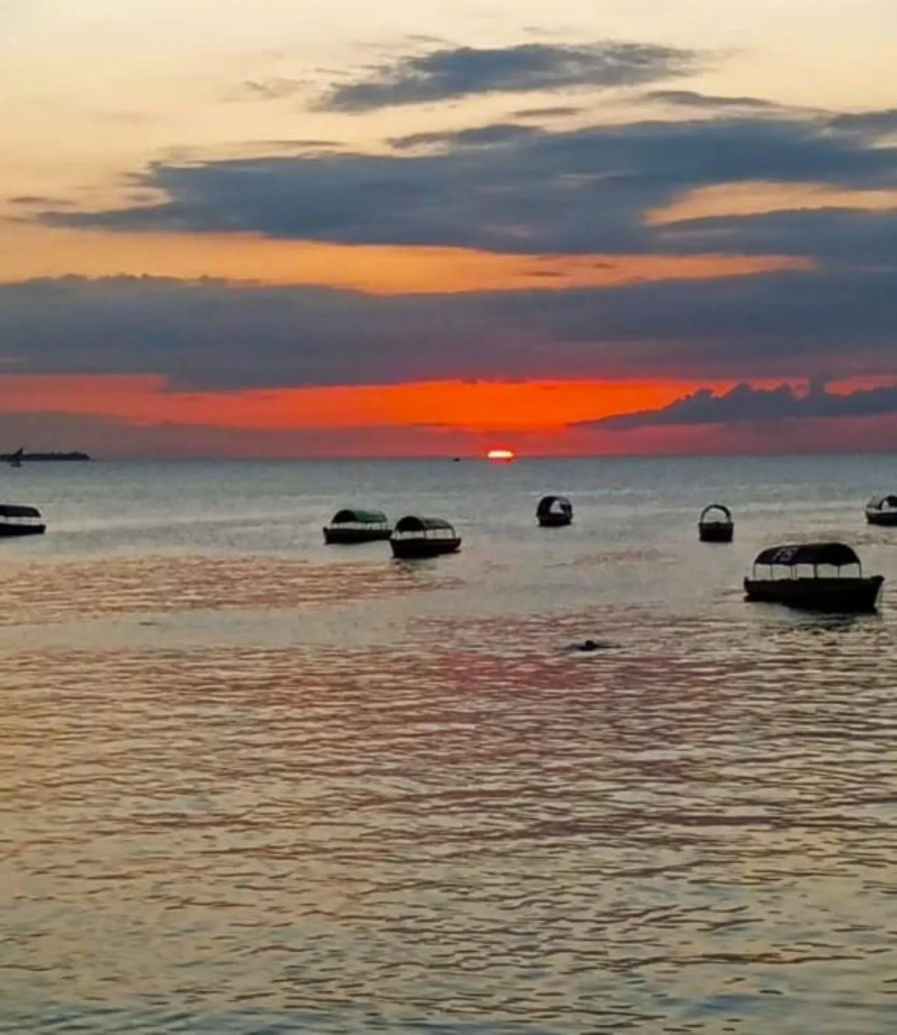 View (from property/room) in Al Johari Hotel & Spa