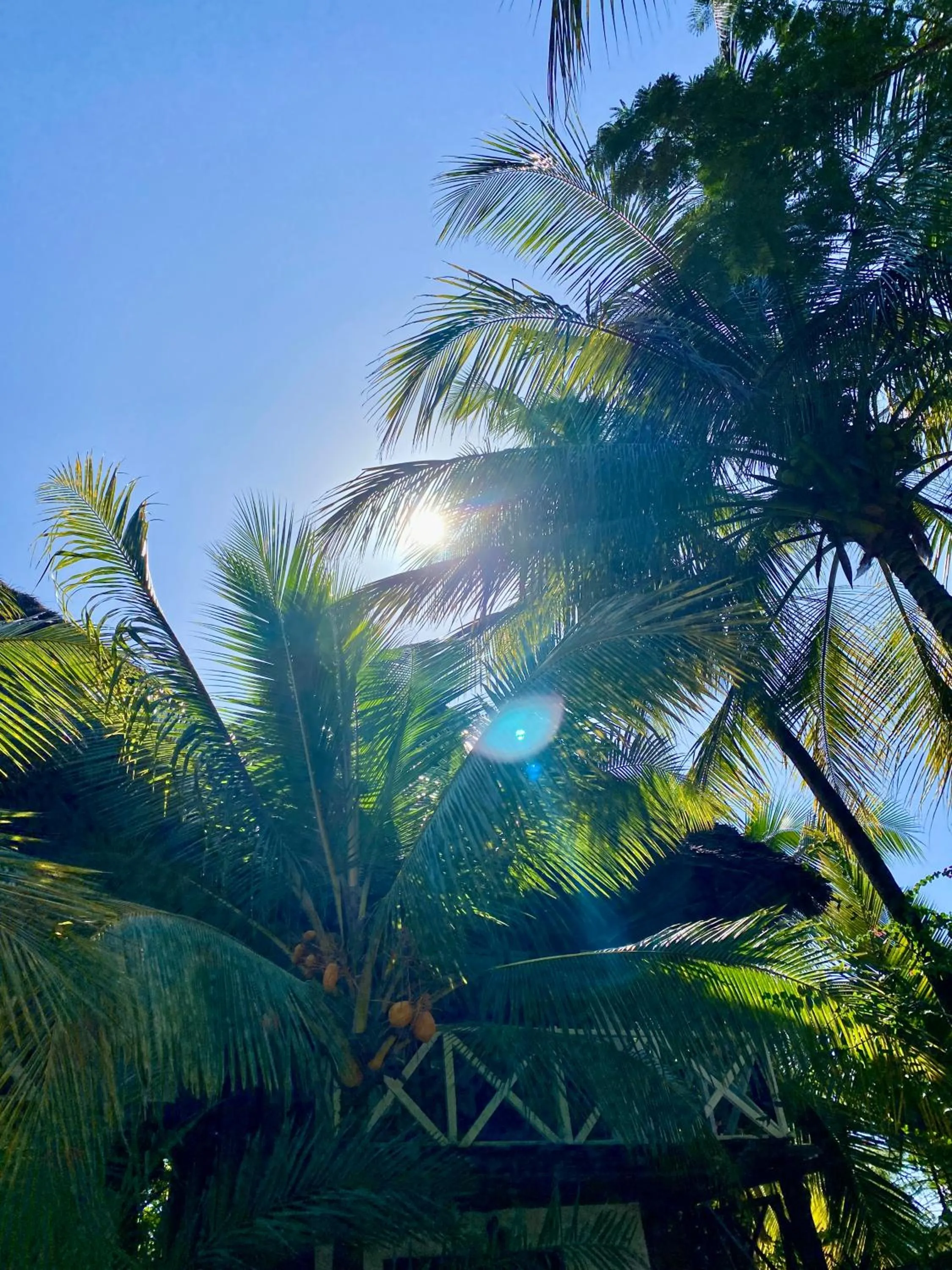 Property building in The Seles Boutique Hotel