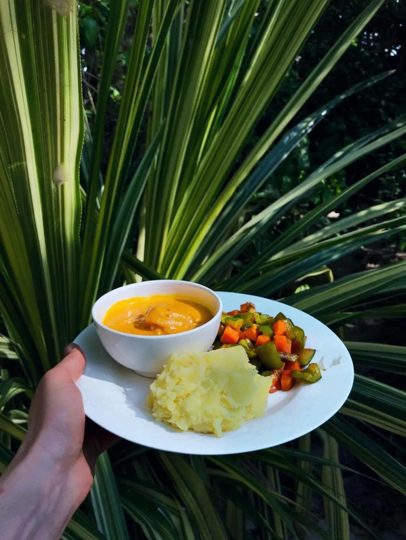 Food and drinks in The Seles Boutique Hotel