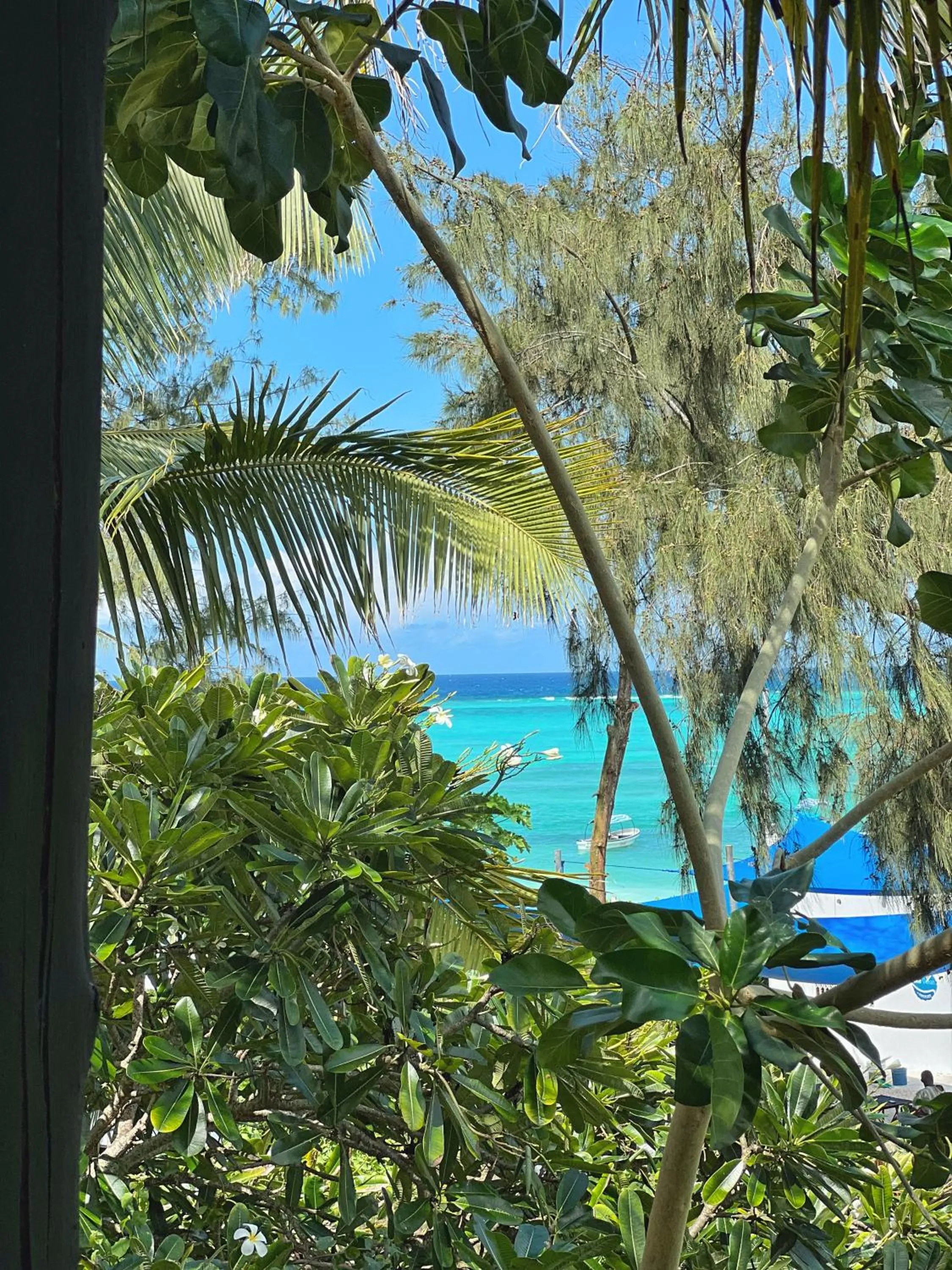 View (from property/room) in The Seles Boutique Hotel