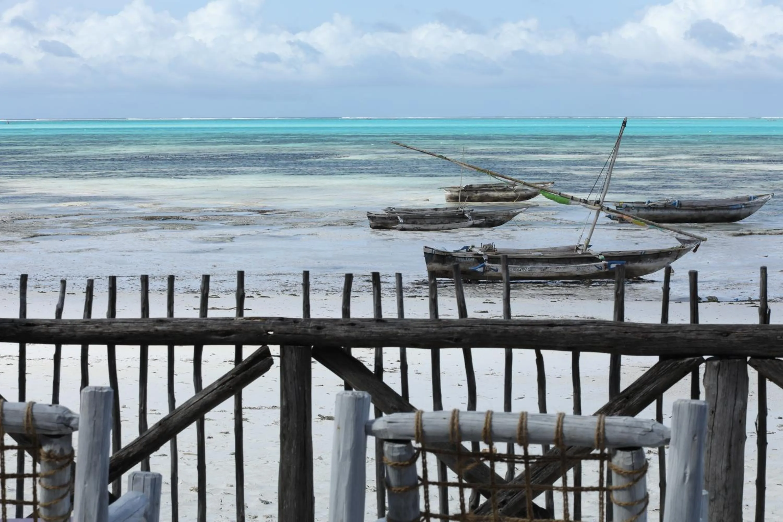 Natural landscape in Bahari Beach Bungalows