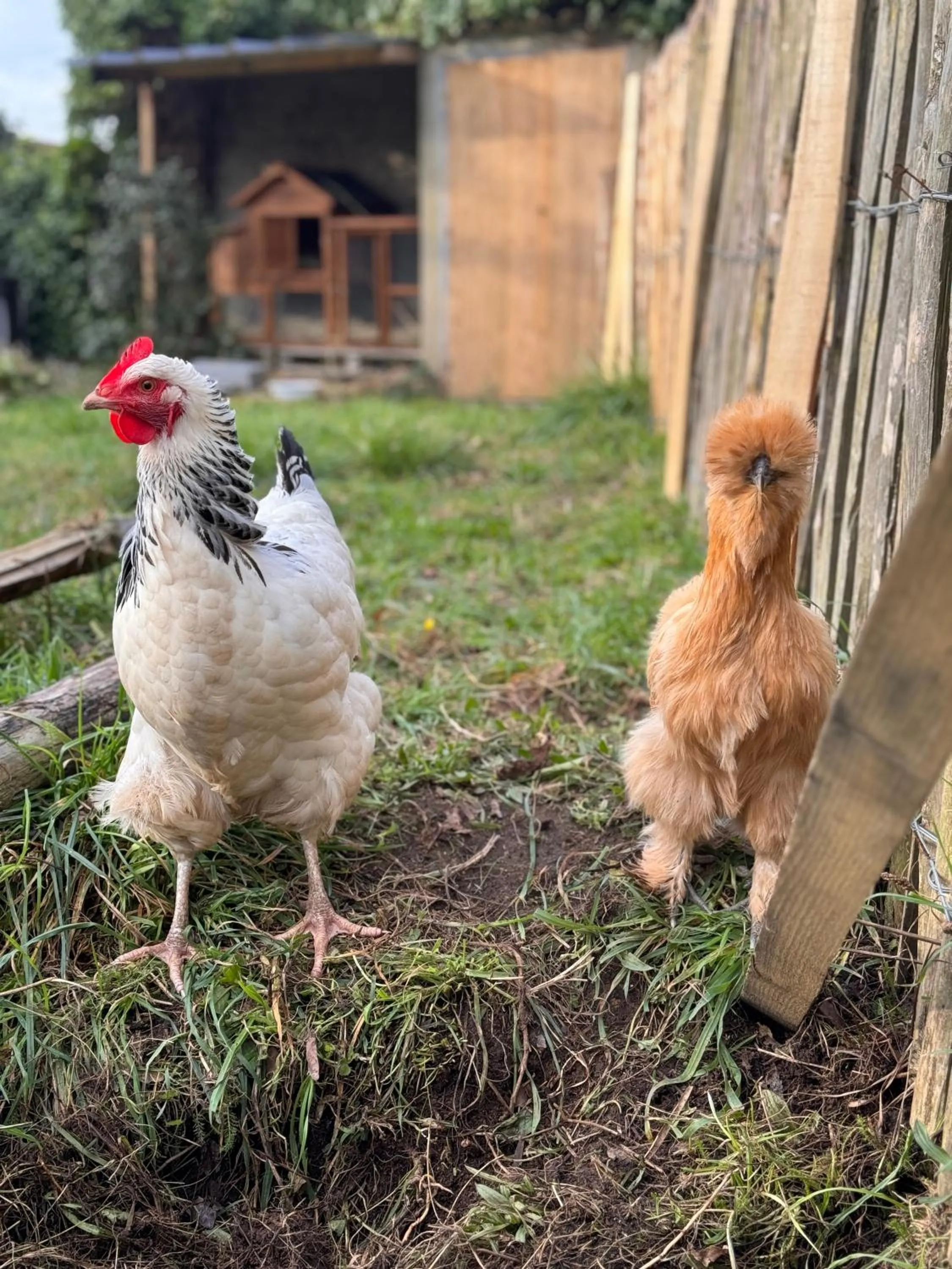 Natural landscape in Naéco Erdeven