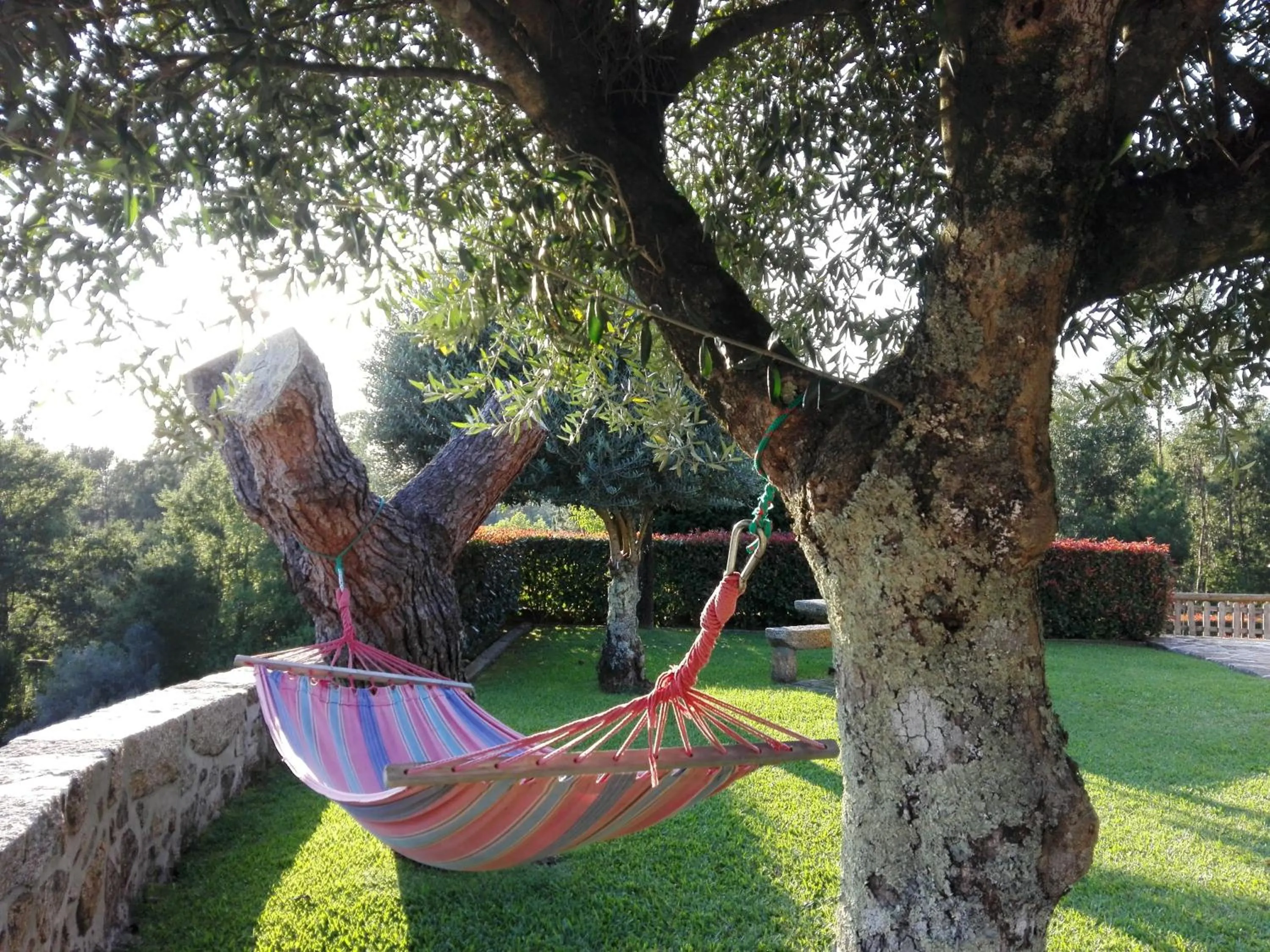Garden in Casa de Panque