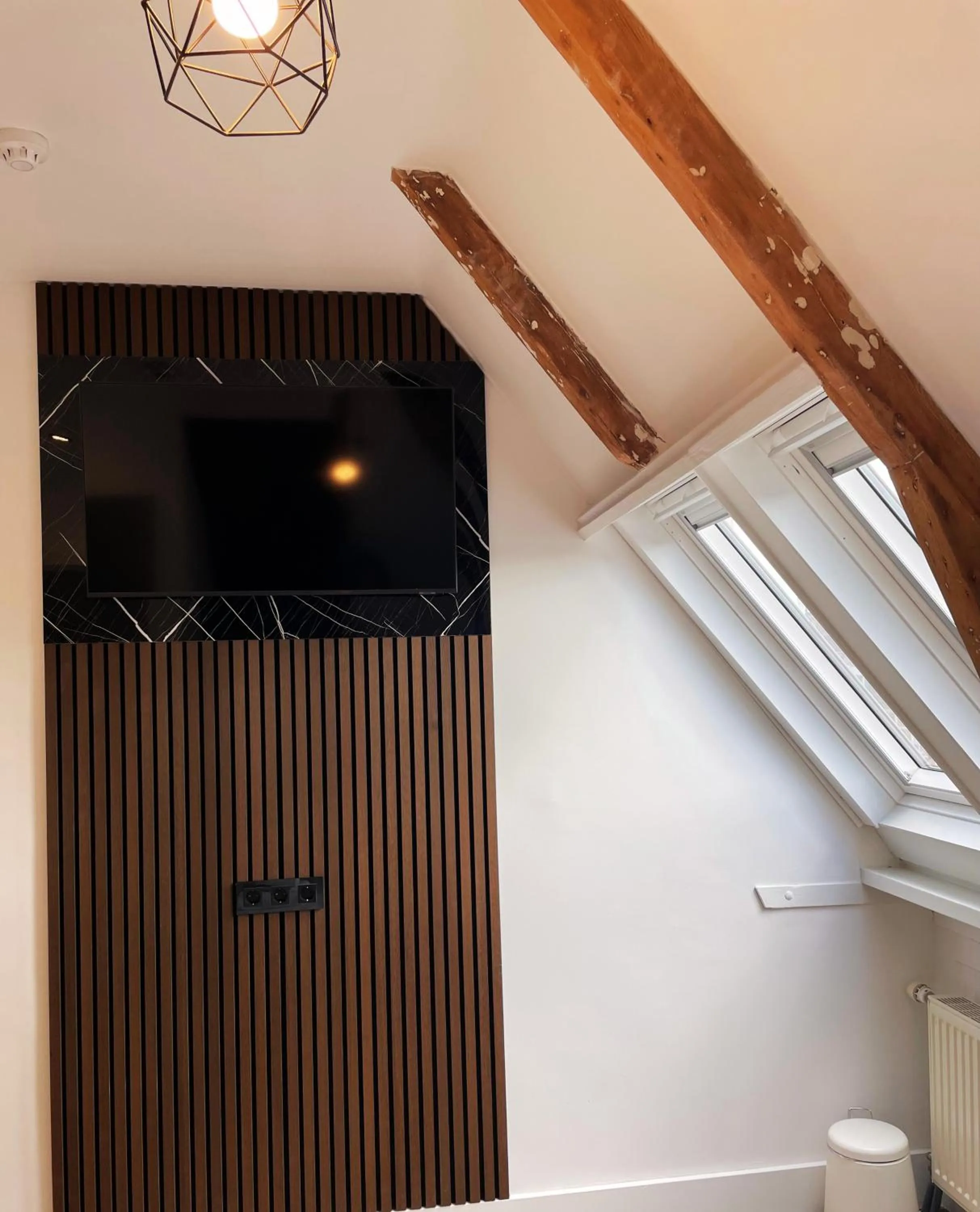 TV and multimedia in Hotel Plantage - Digital Access