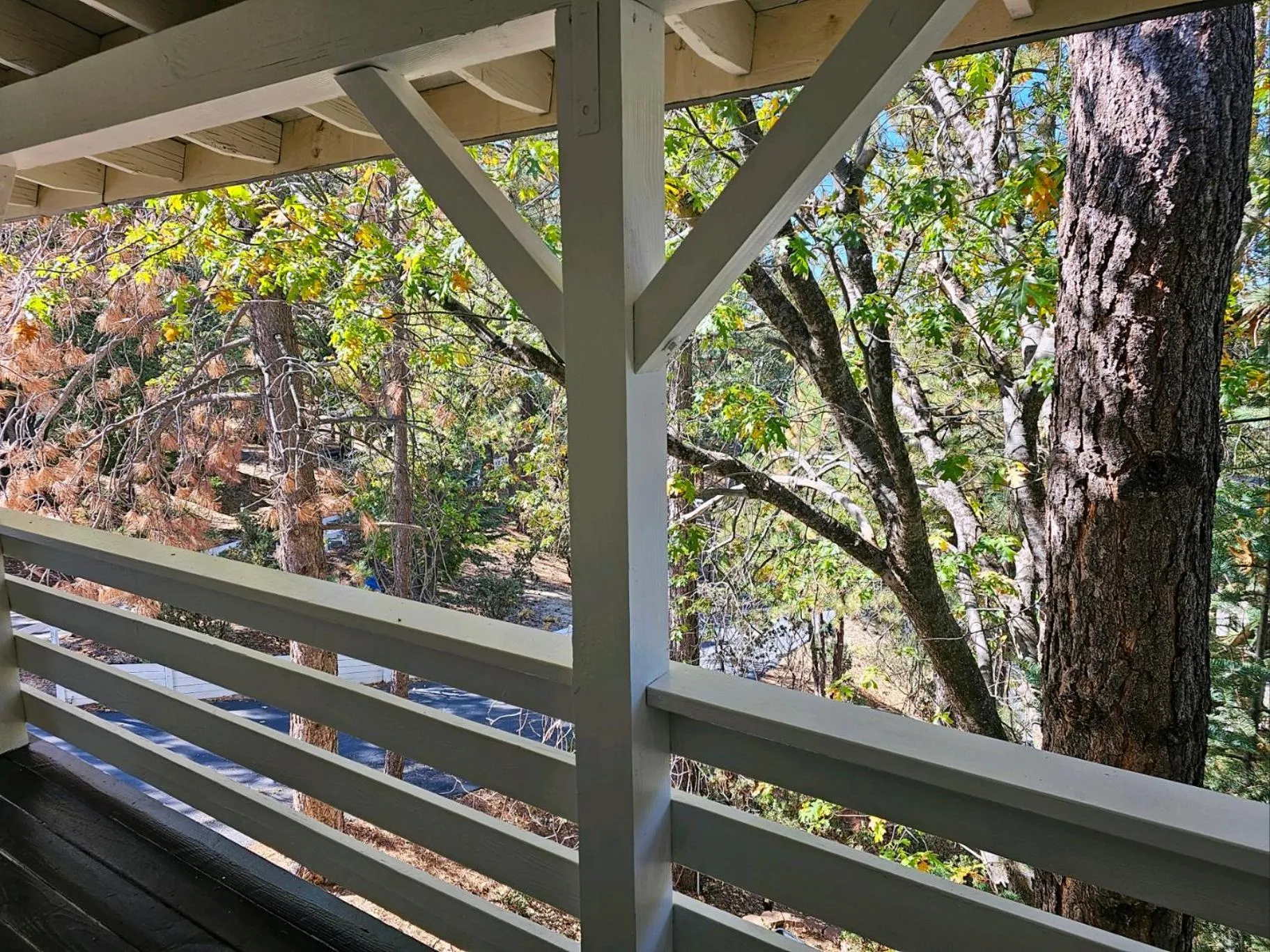 Natural landscape in Alhatti Christian Resort