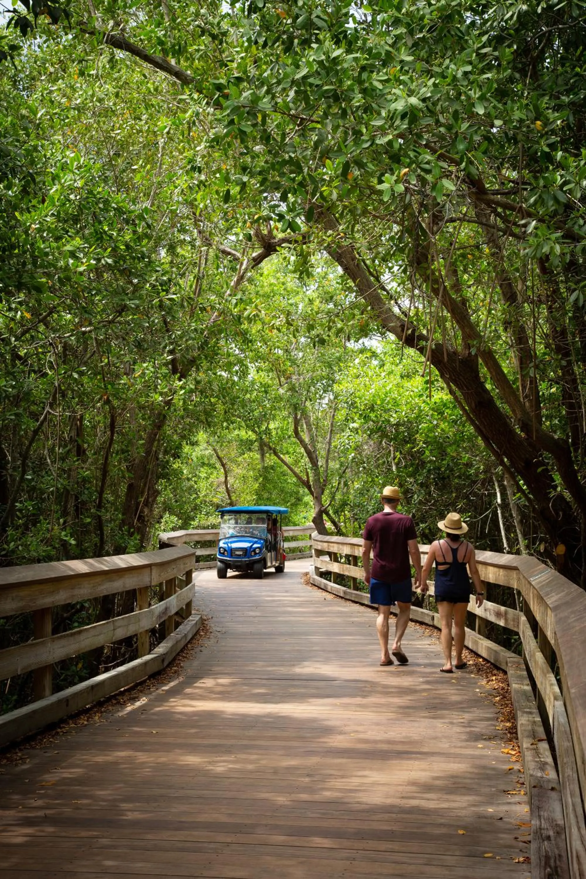 Beach in Naples Grande Beach Resort