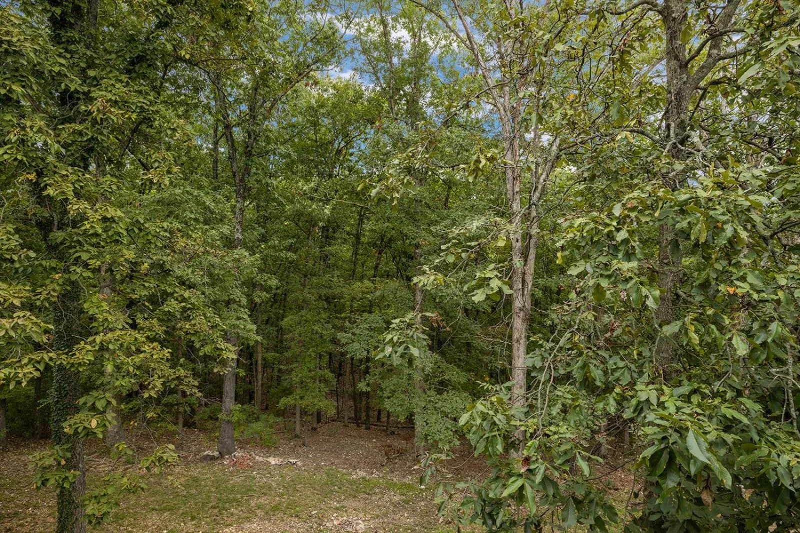 Garden in The Lofts on Indian Point - Near Silver Dollar City