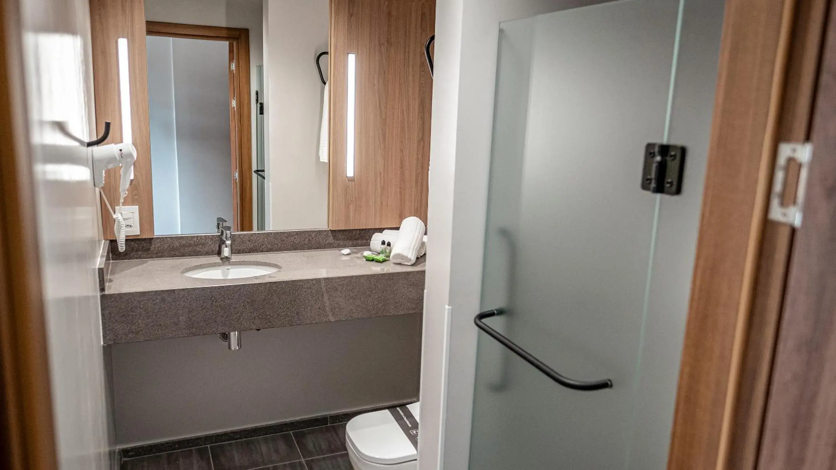 Deluxe Double Room with Extra Bed - single occupancy in Plaza Hotel & Boulevard Convention - Vale dos Vinhedos Deluxe Double Room with Extra Bed - single occupancy in Plaza Hotel & Boulevard Convention - Vale dos Vinhedos