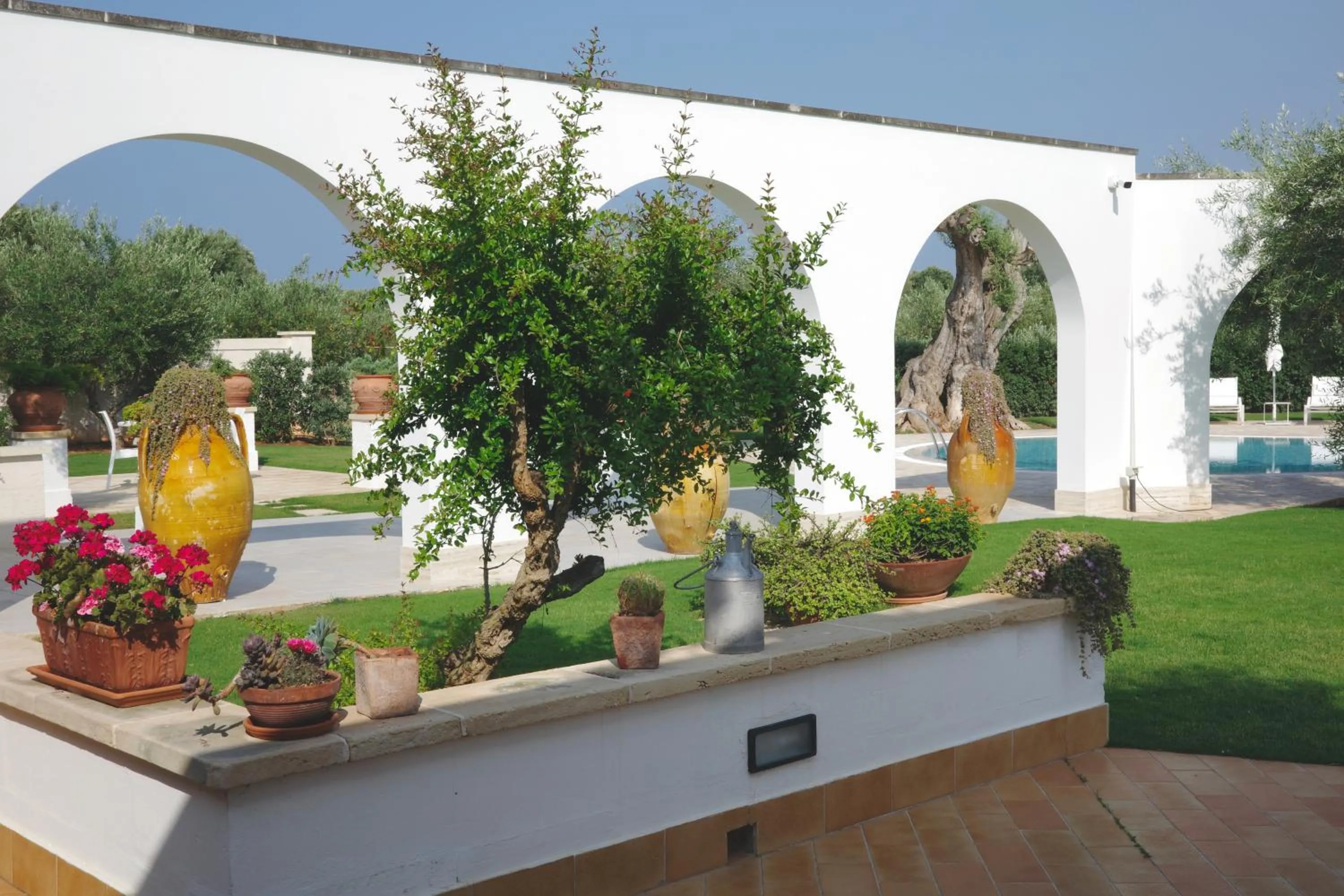 Garden in L'Ulivo Bed and Breakfast