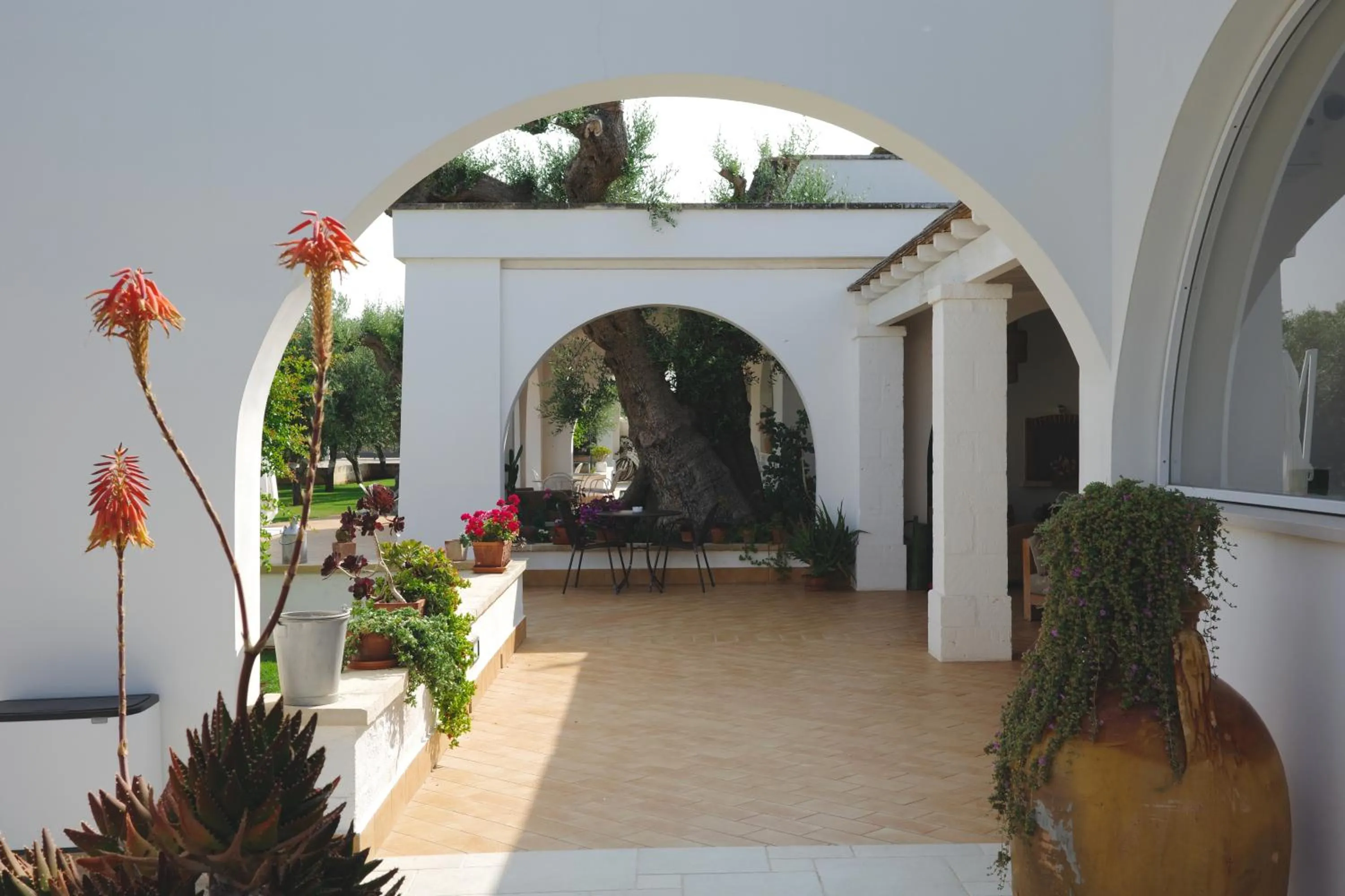 Patio in L'Ulivo Bed and Breakfast