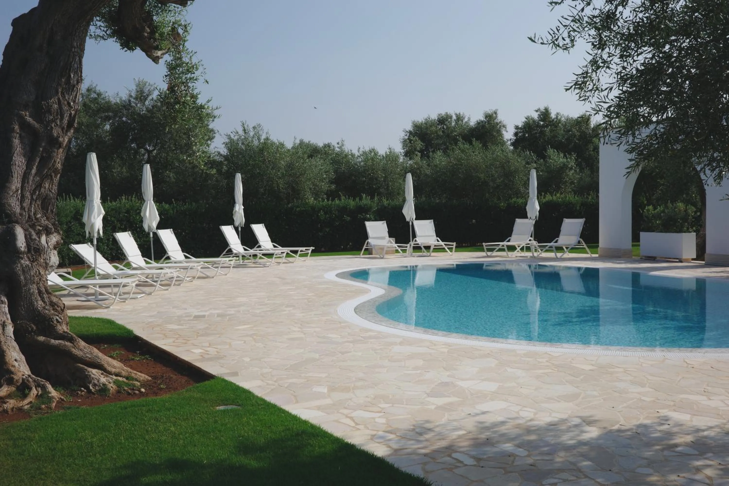 Swimming pool in L'Ulivo Bed and Breakfast