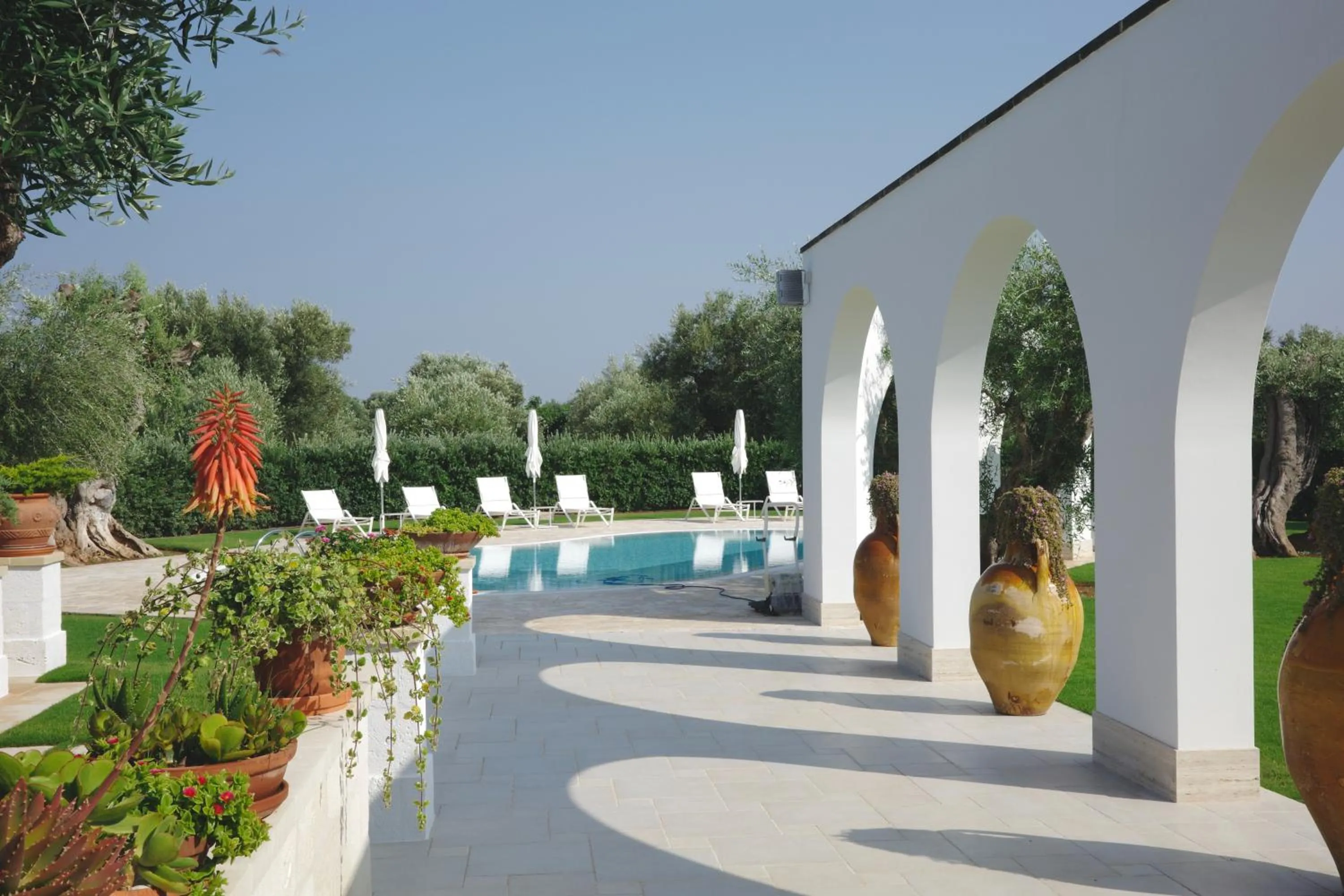 Swimming pool in L'Ulivo Bed and Breakfast