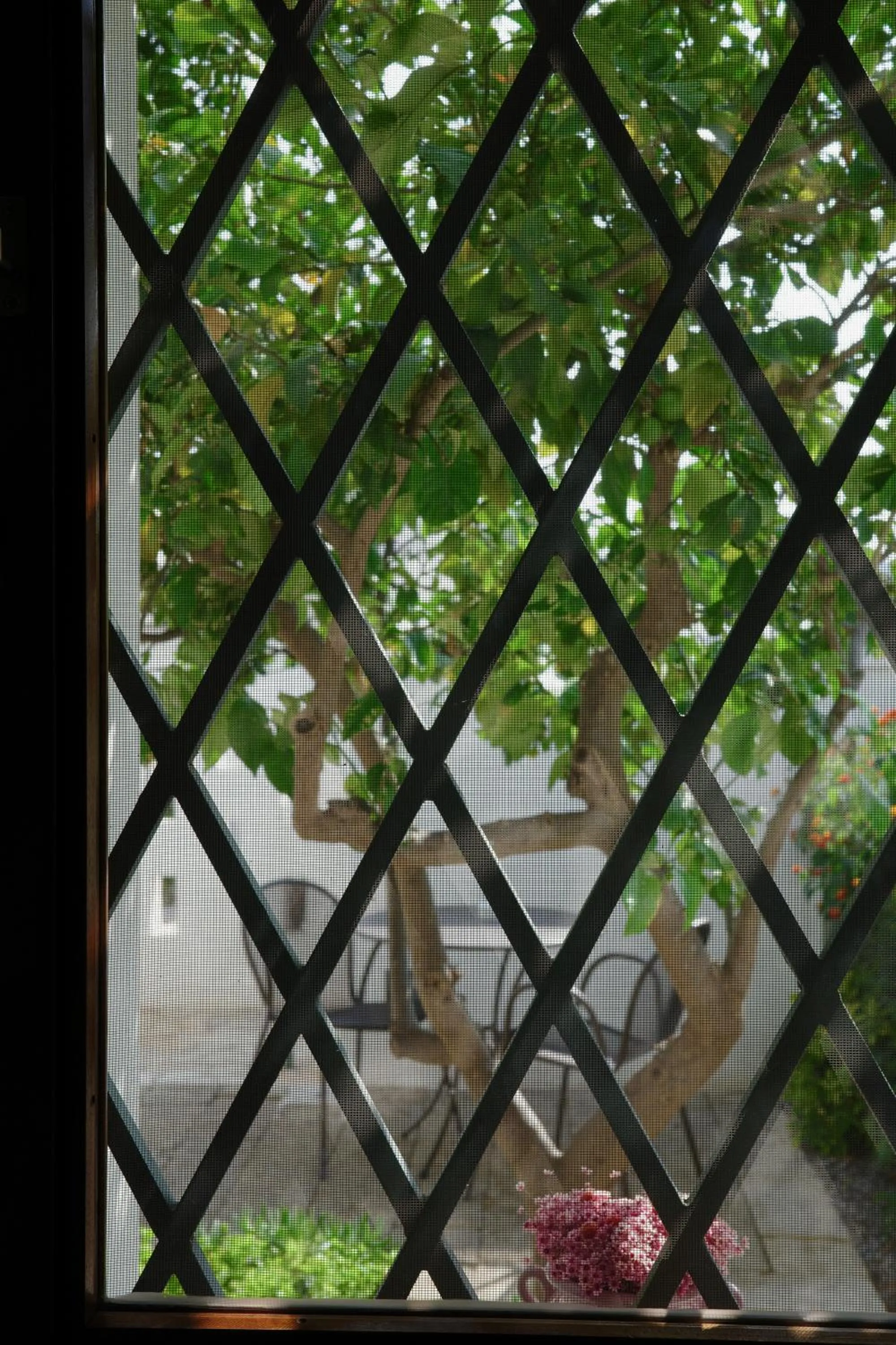 Garden in L'Ulivo Bed and Breakfast