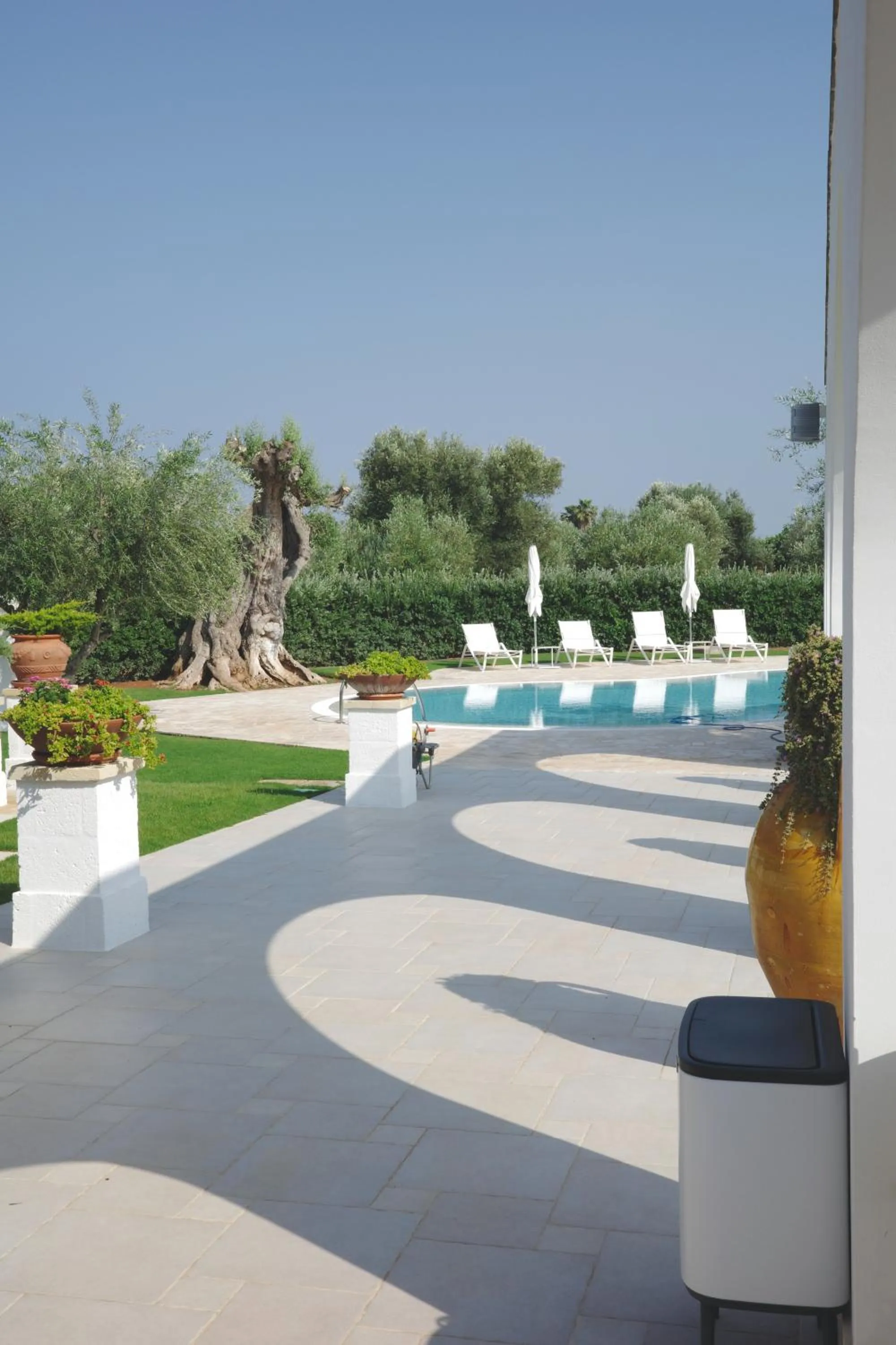 Swimming pool in L'Ulivo Bed and Breakfast