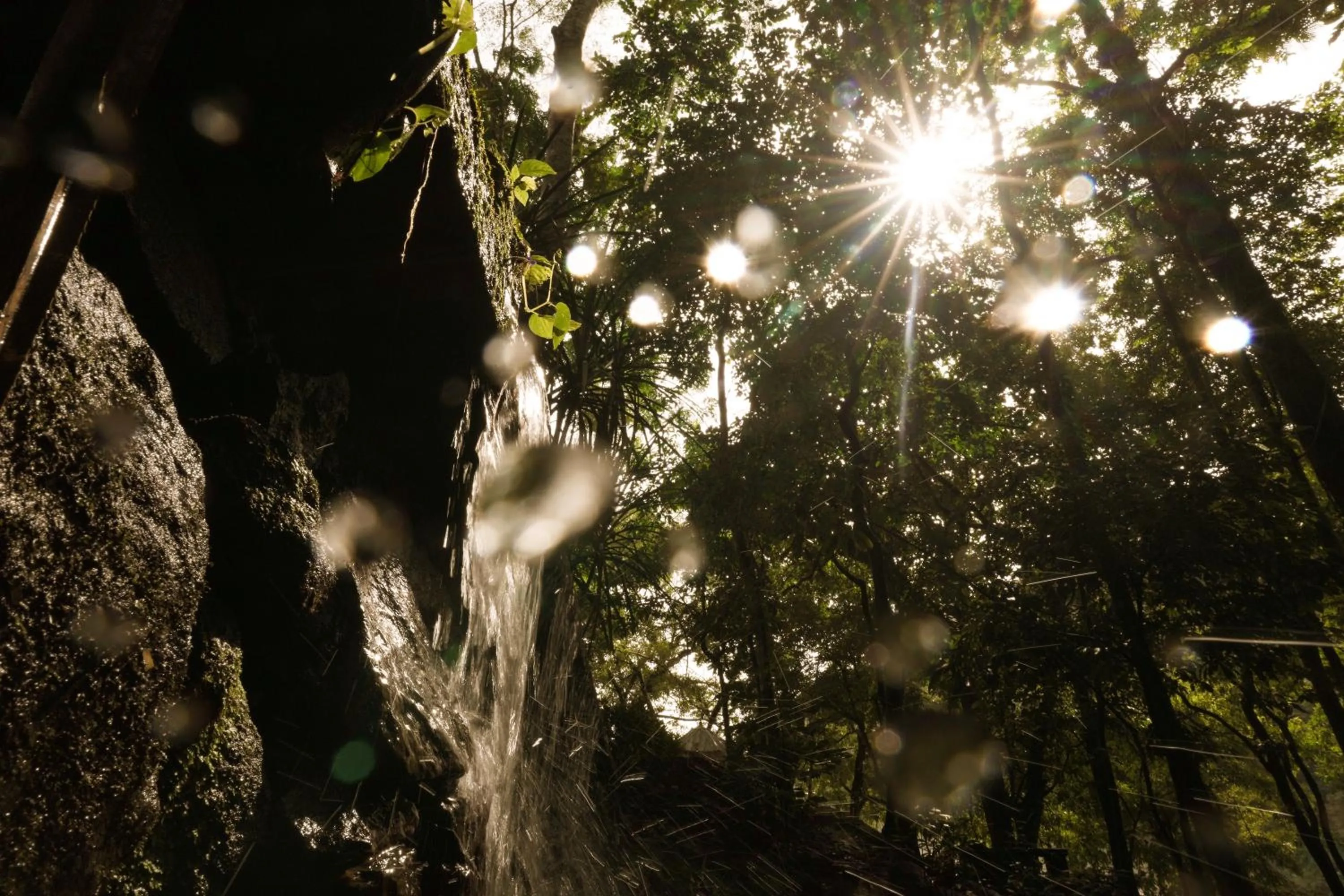 Natural landscape in Bluemist Resorts